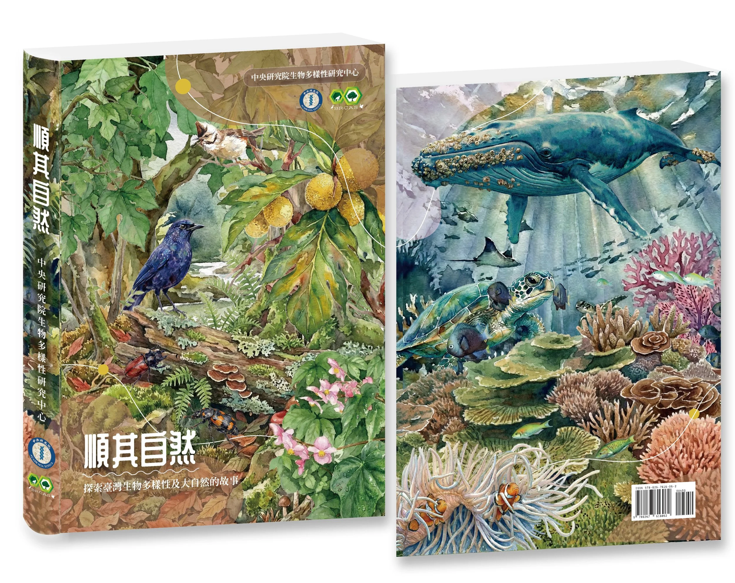 書籍與圖鑑排版