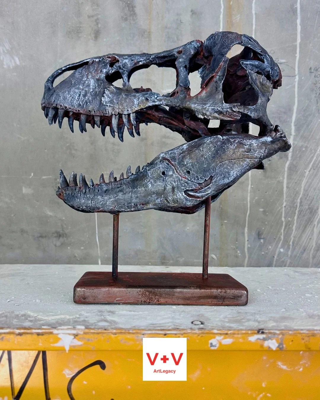 Mounted fossil skull of a large prehistoric predator, possibly a Tyrannosaurus rex, displayed on a stand with a concrete wall background.