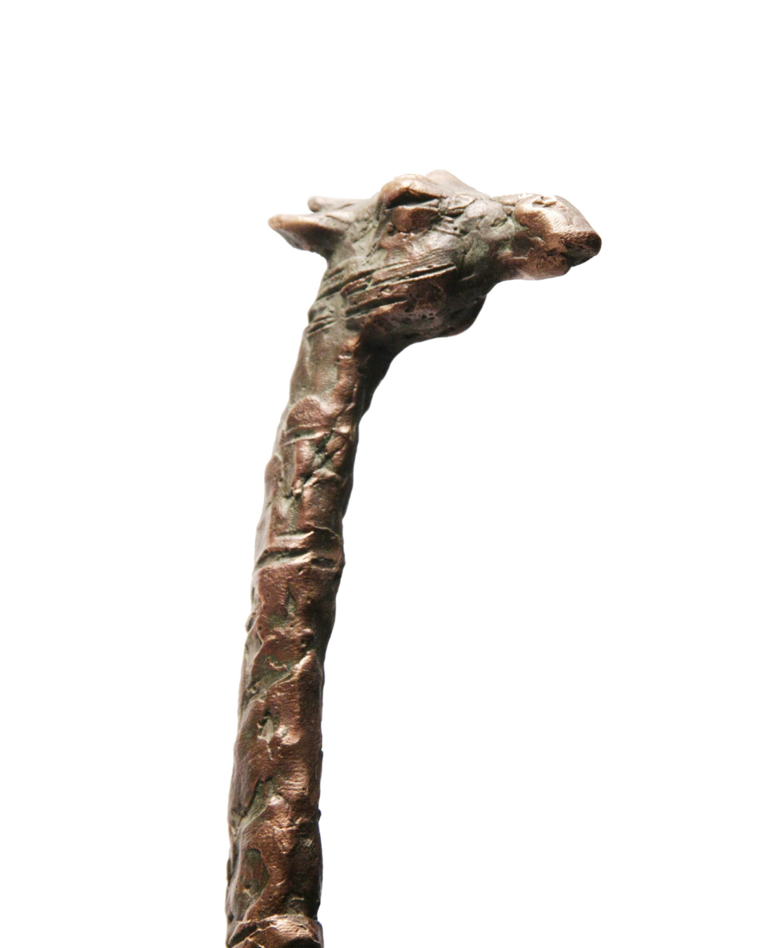 Viktor erdyneev - 394.png