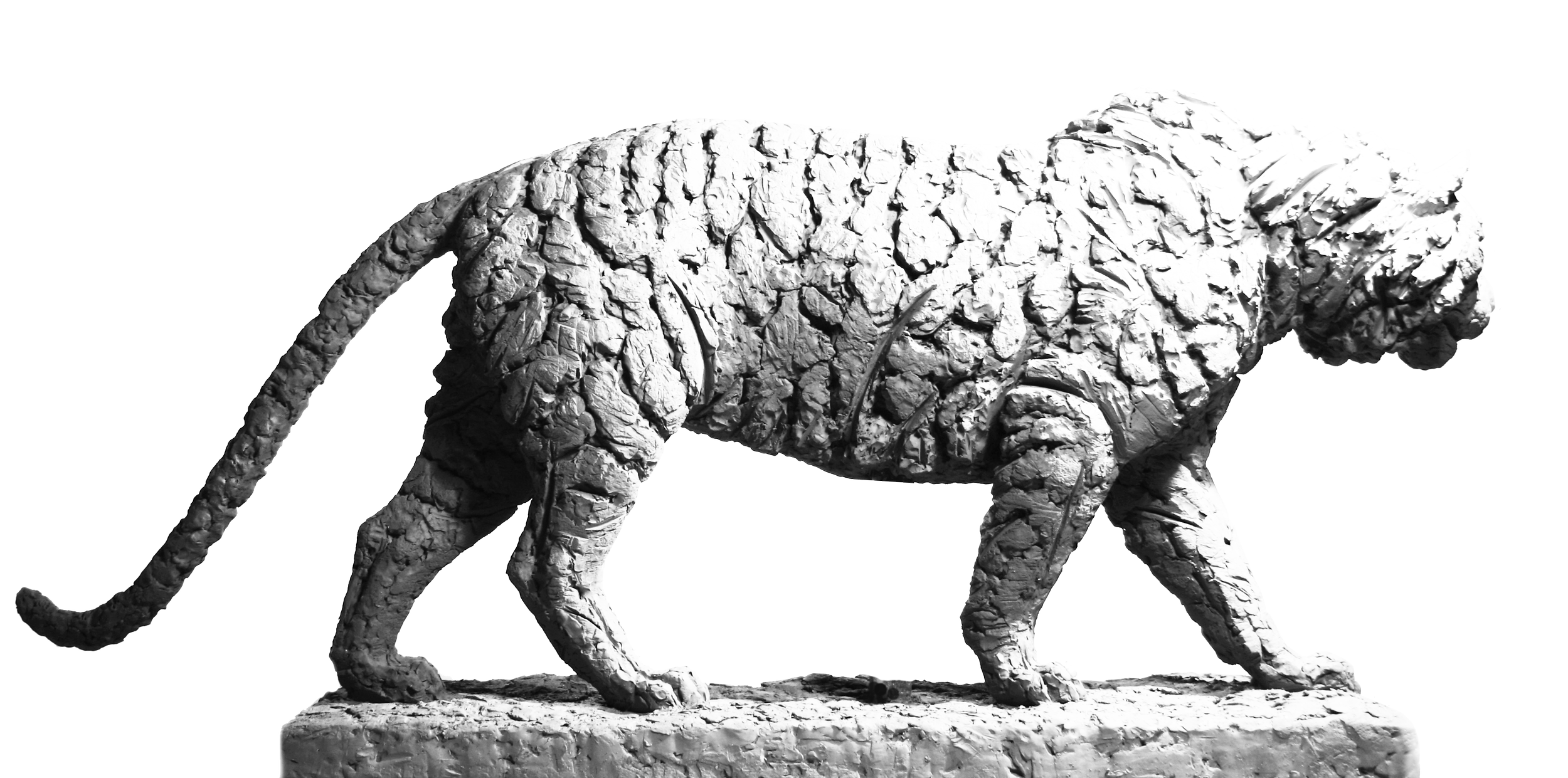 Тигр 4 png.png