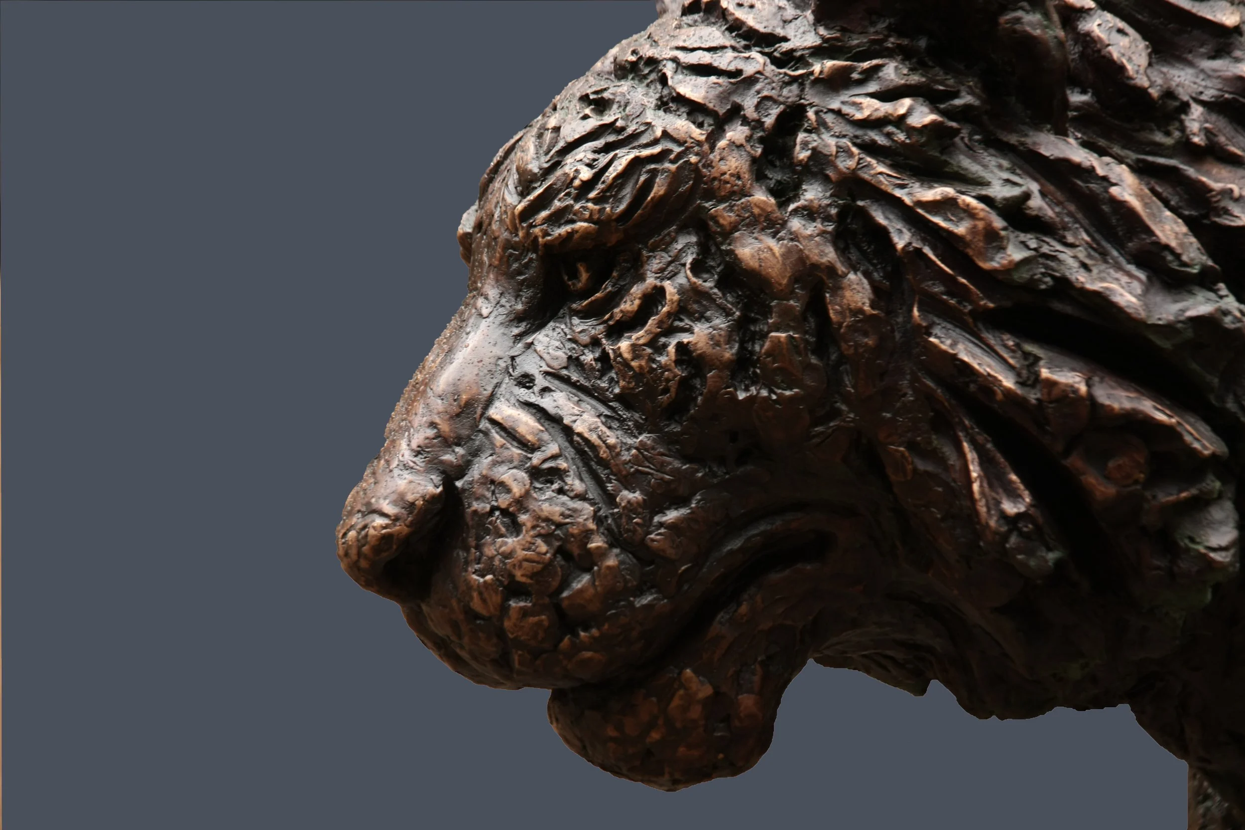 Close-up of a bronze memorial sculpture of a dog's face, showing detailed fur and facial features, with a dark gray background.