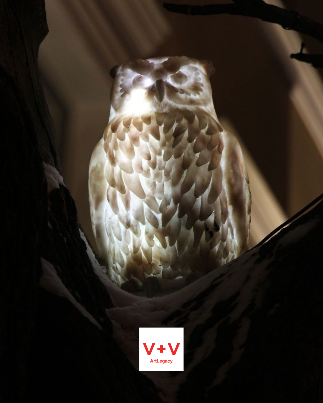 Copy of V+V Instagram about Us - 221.png