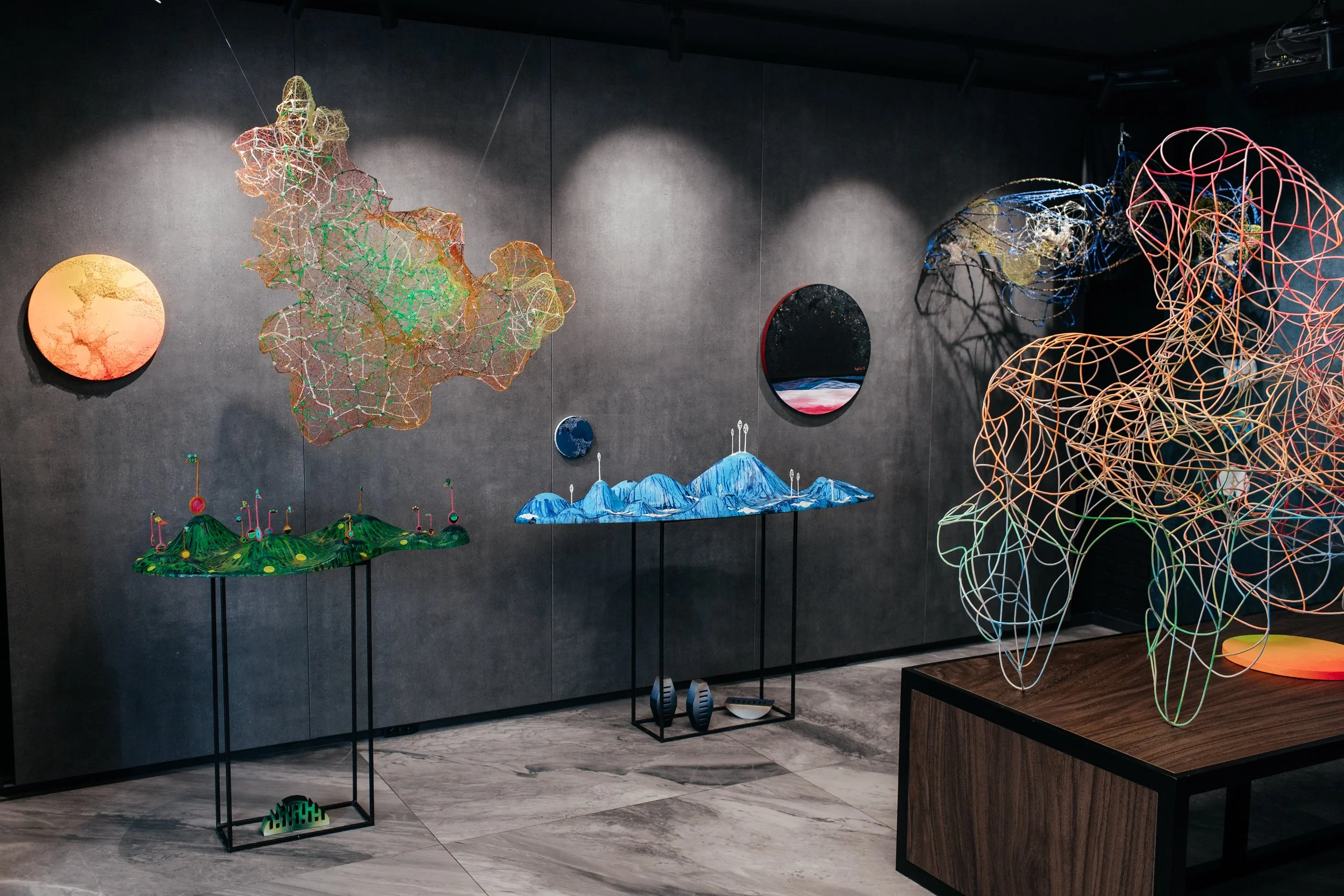 Gallery display of modern abstract art sculptures, including wireframe structures and colorful models, arranged on stands and shelves against a dark wall.