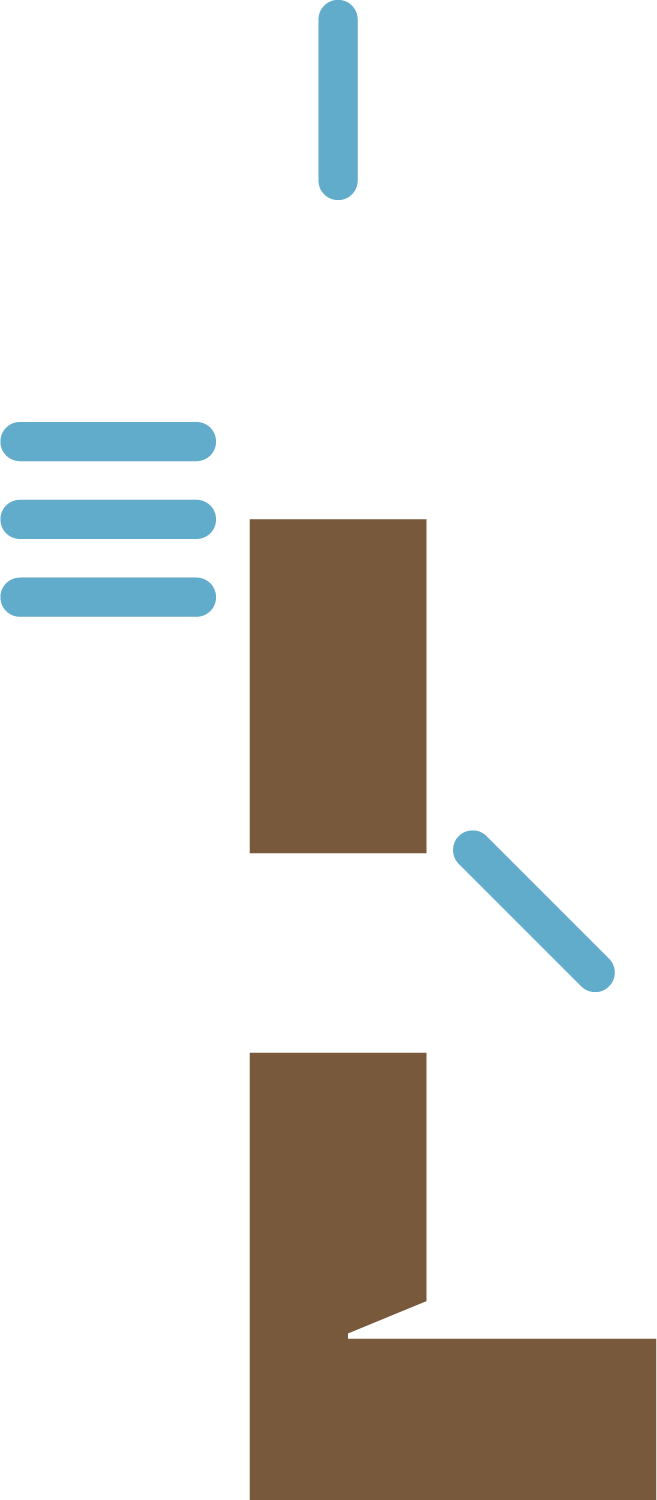 Illustration of a microscope with a brown base and brown stage, black body, white body tube, and blue accents on the knobs and focusing mechanism.