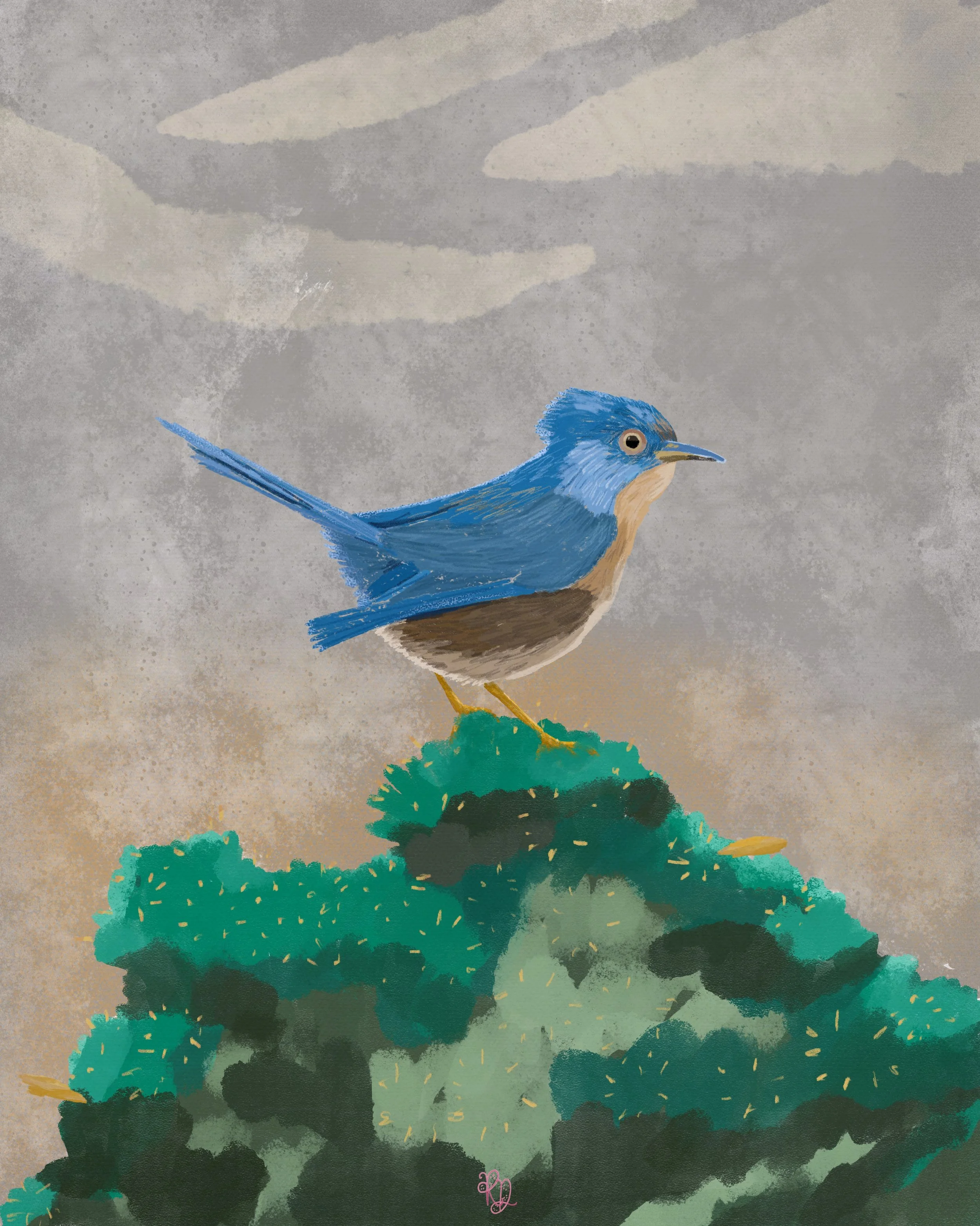 blue_bird_on_tree.jpg