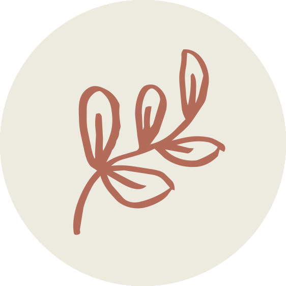 Minimalist illustration of a branch with leaves in a brownish color on a light beige background.