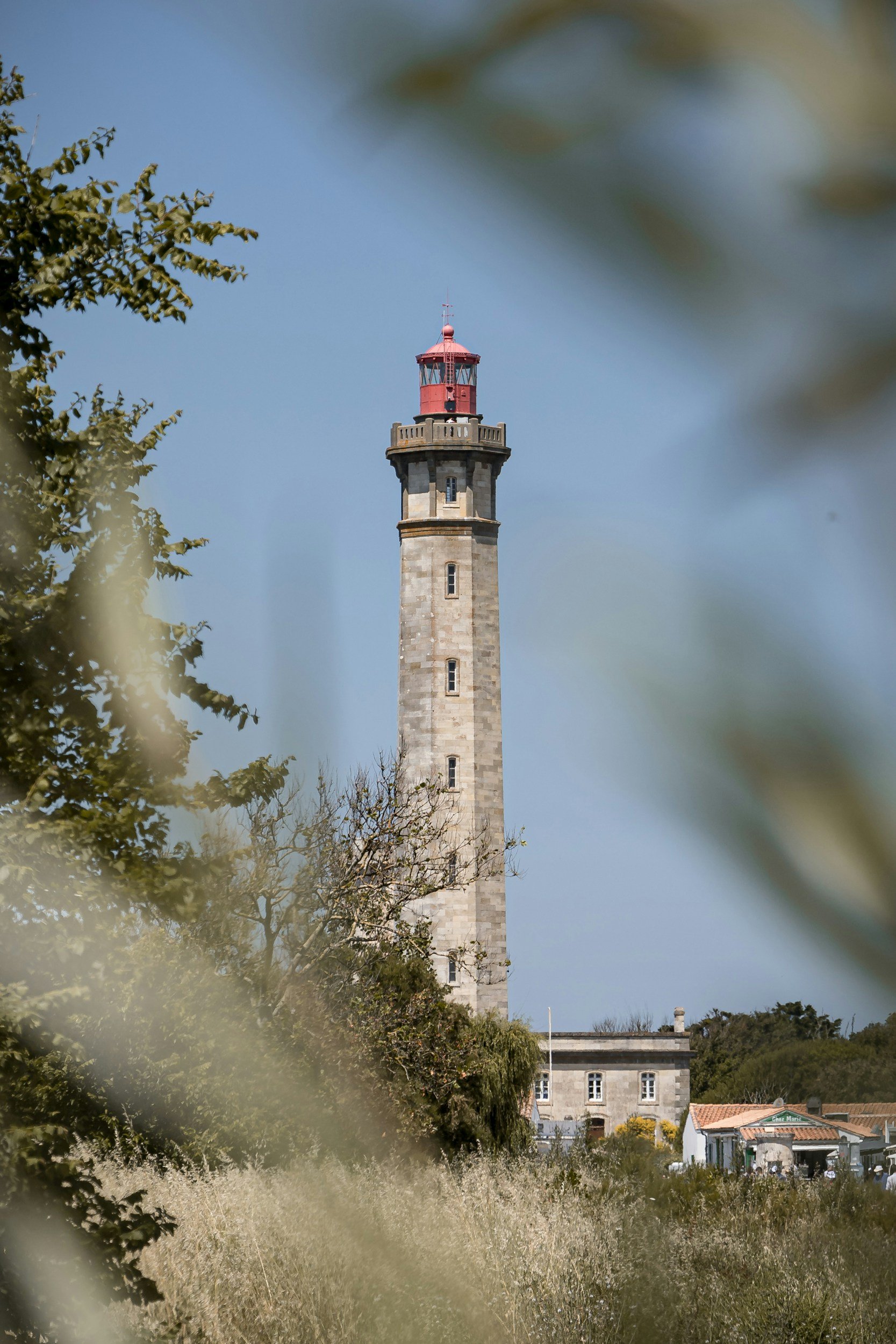 Une tour de phare en pierre avec une tête rouge, vue à travers des arbres avec feuilles vertes et une maison à toit rouge en bas, ciel clair.