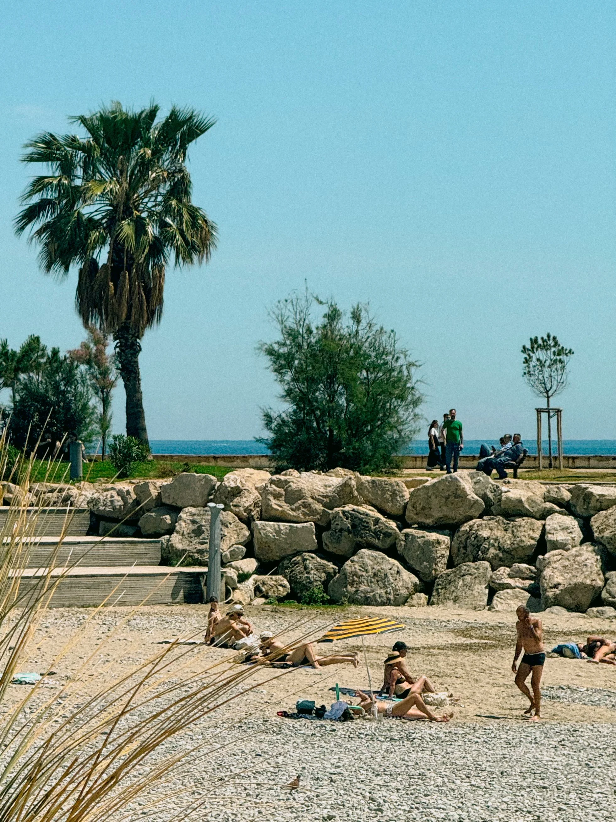People relaxing on a sandy beach with large rocks, green trees, and a palm tree, near the water under a clear sky.