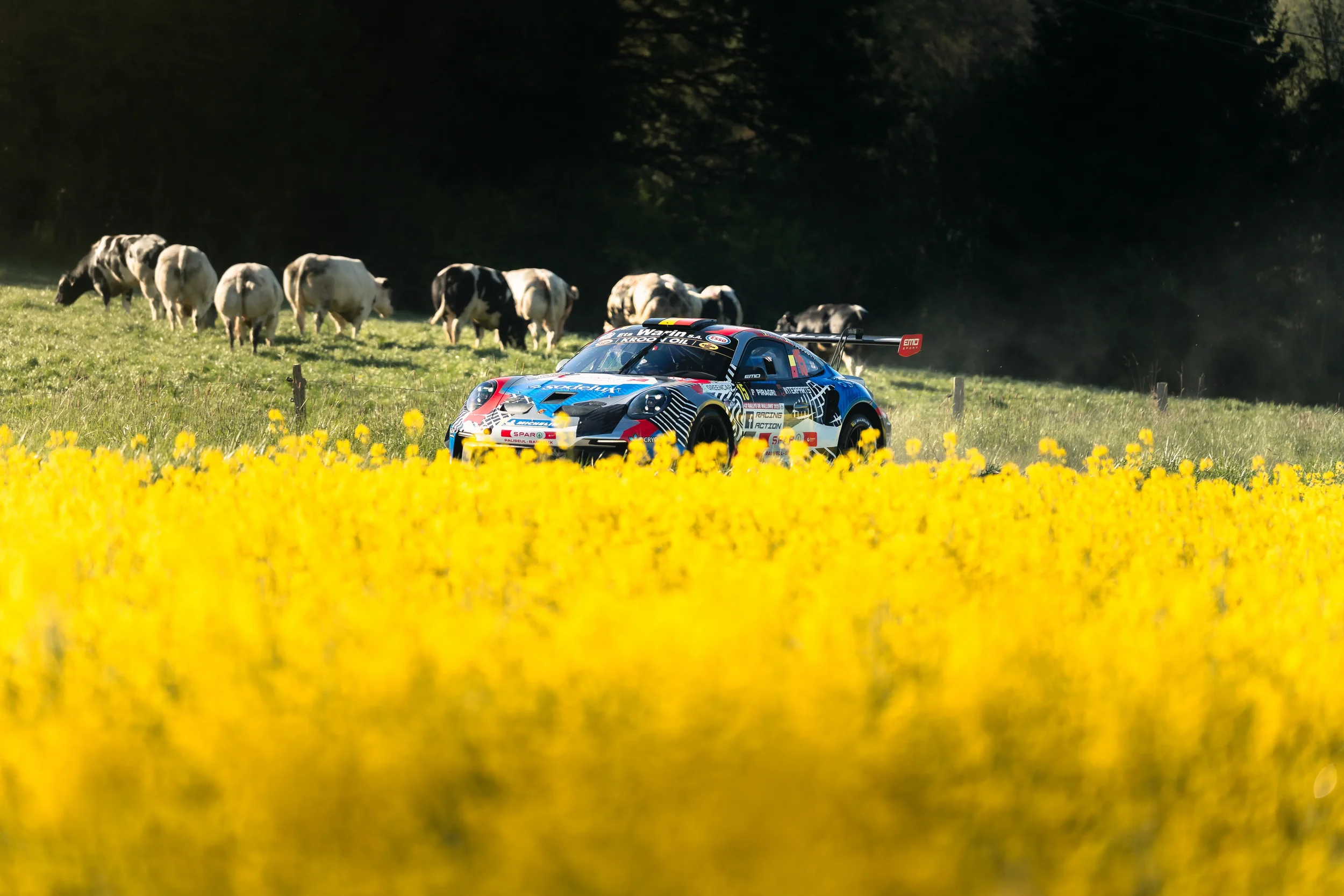 LifeLive-EMO_RallyeDeWallonie_2026©IMAGO-95.webp