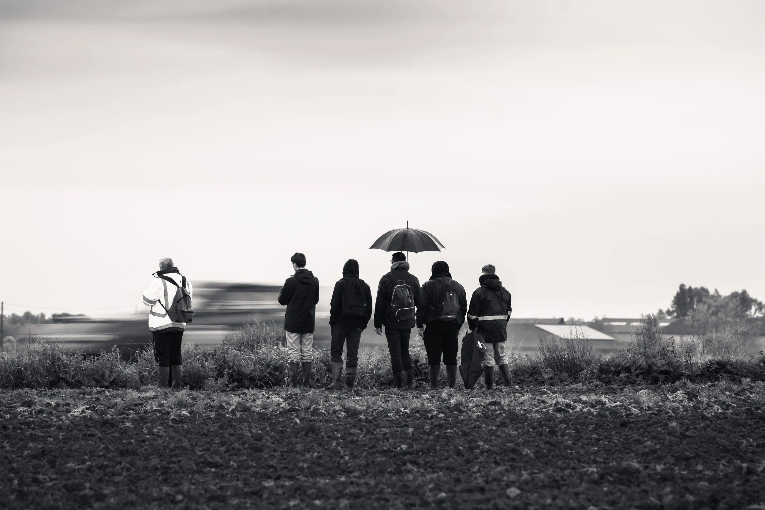 A group of people walking outdoors on a cloudy day, with one person holding an umbrella, in a rural setting with fields and farm buildings in the background.