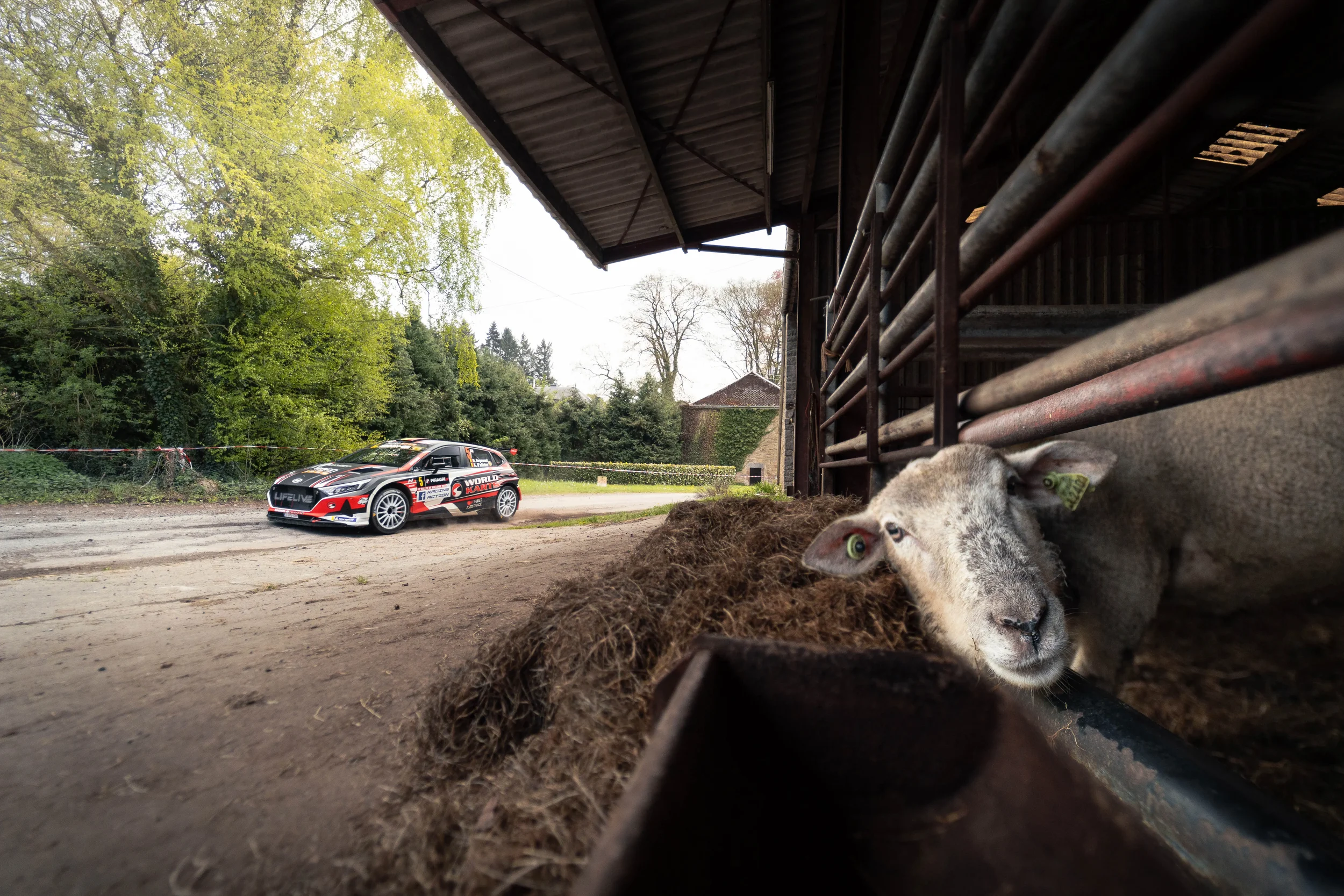 Niels reynvoet rally, hyundai i20 rally2, Rallye de wallonie 2025, rally photography, imago
