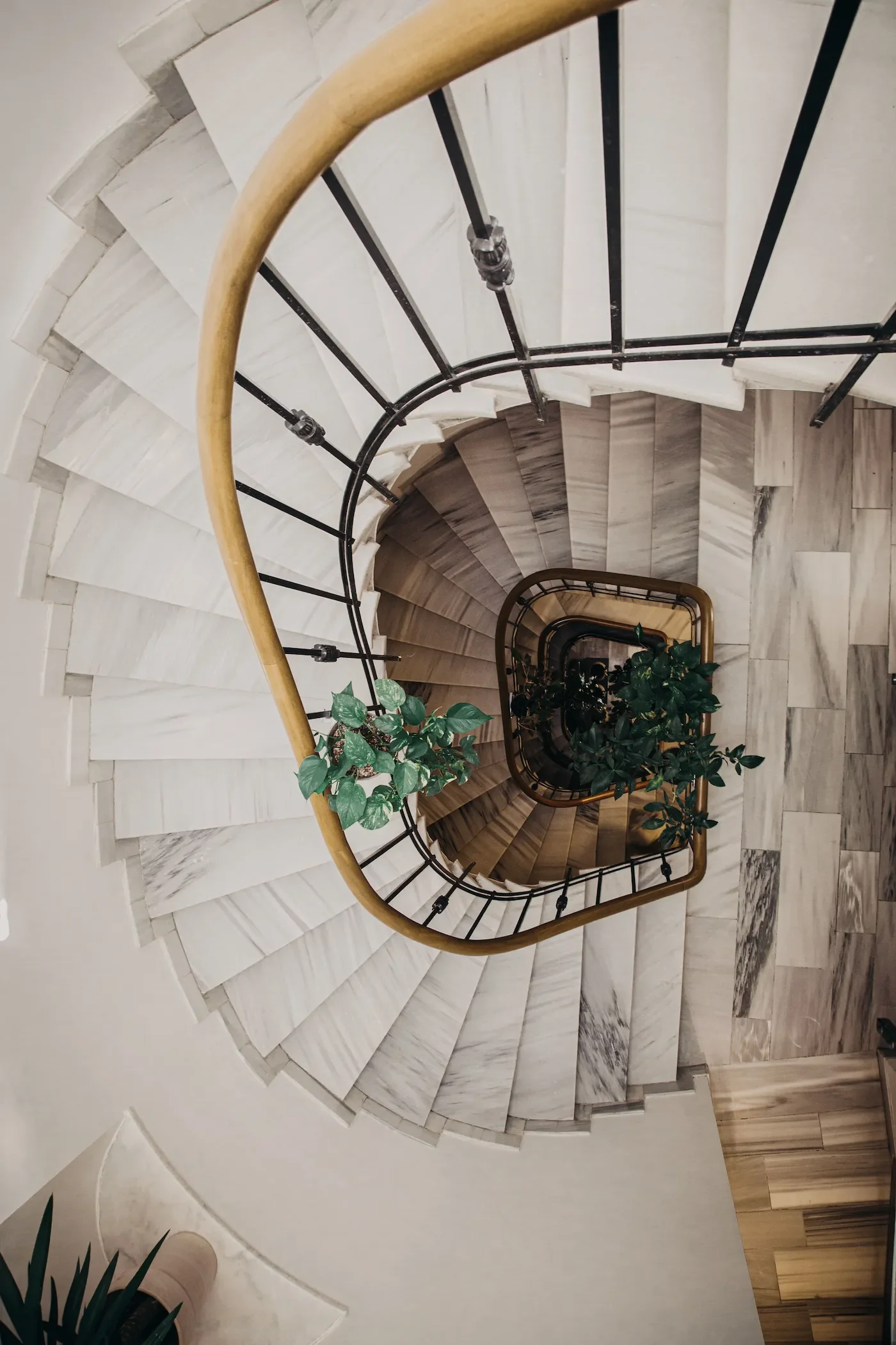 Vue du haut d'une cage d'escalier en spirale en marbre blanc, avec un garde-corps en bois et métal noir, décorée par des plantes vertes