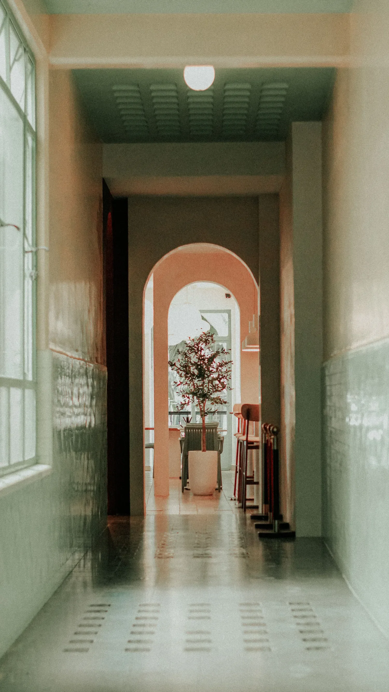 Un couloir menant à une salle avec un arbre en pot, des chaises et un mur avec une arche.