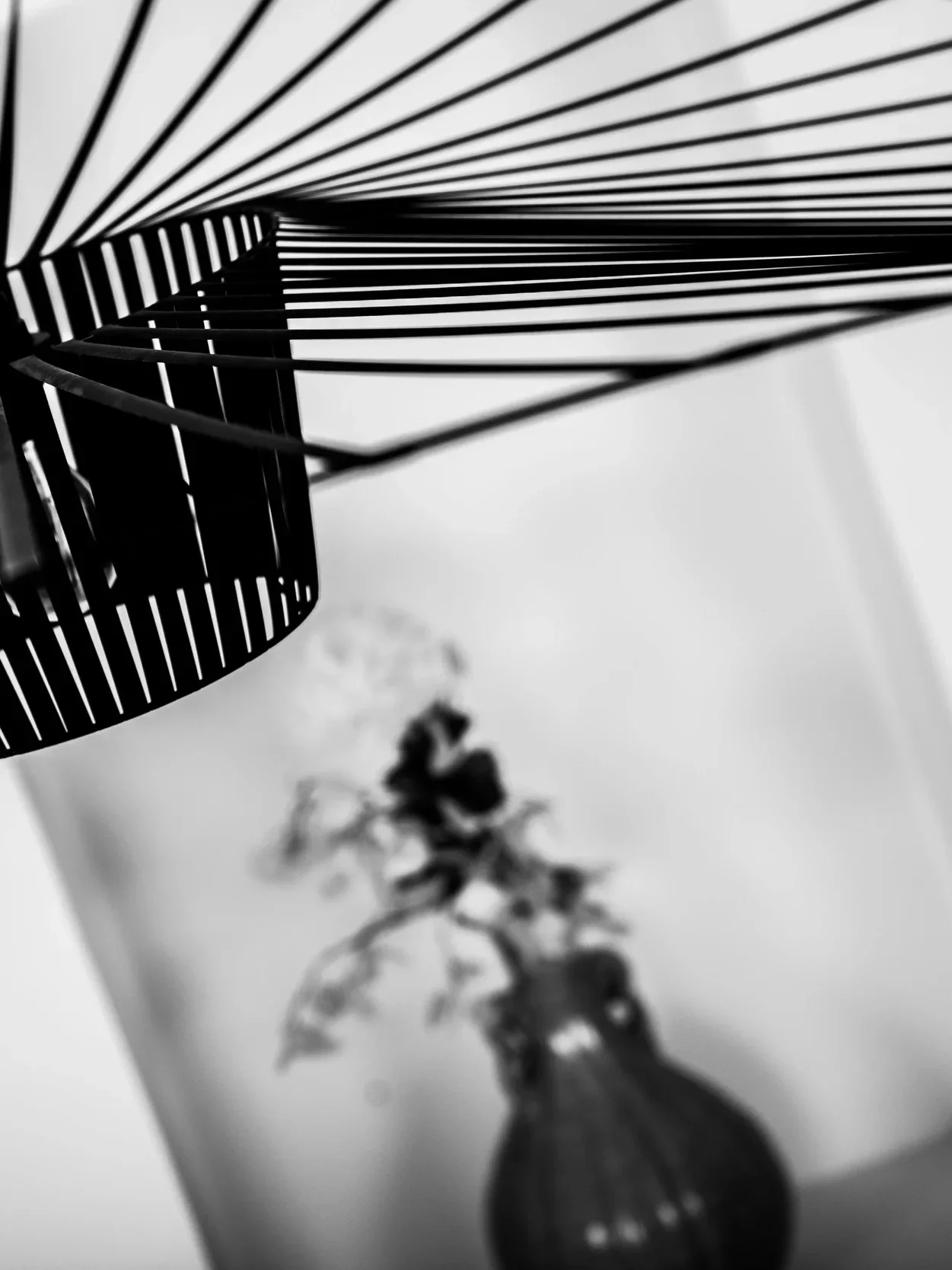 Photo en noir et blanc prise en plongée montrant une bouteille dans le cadre d'une composition artistique et une plante floue.