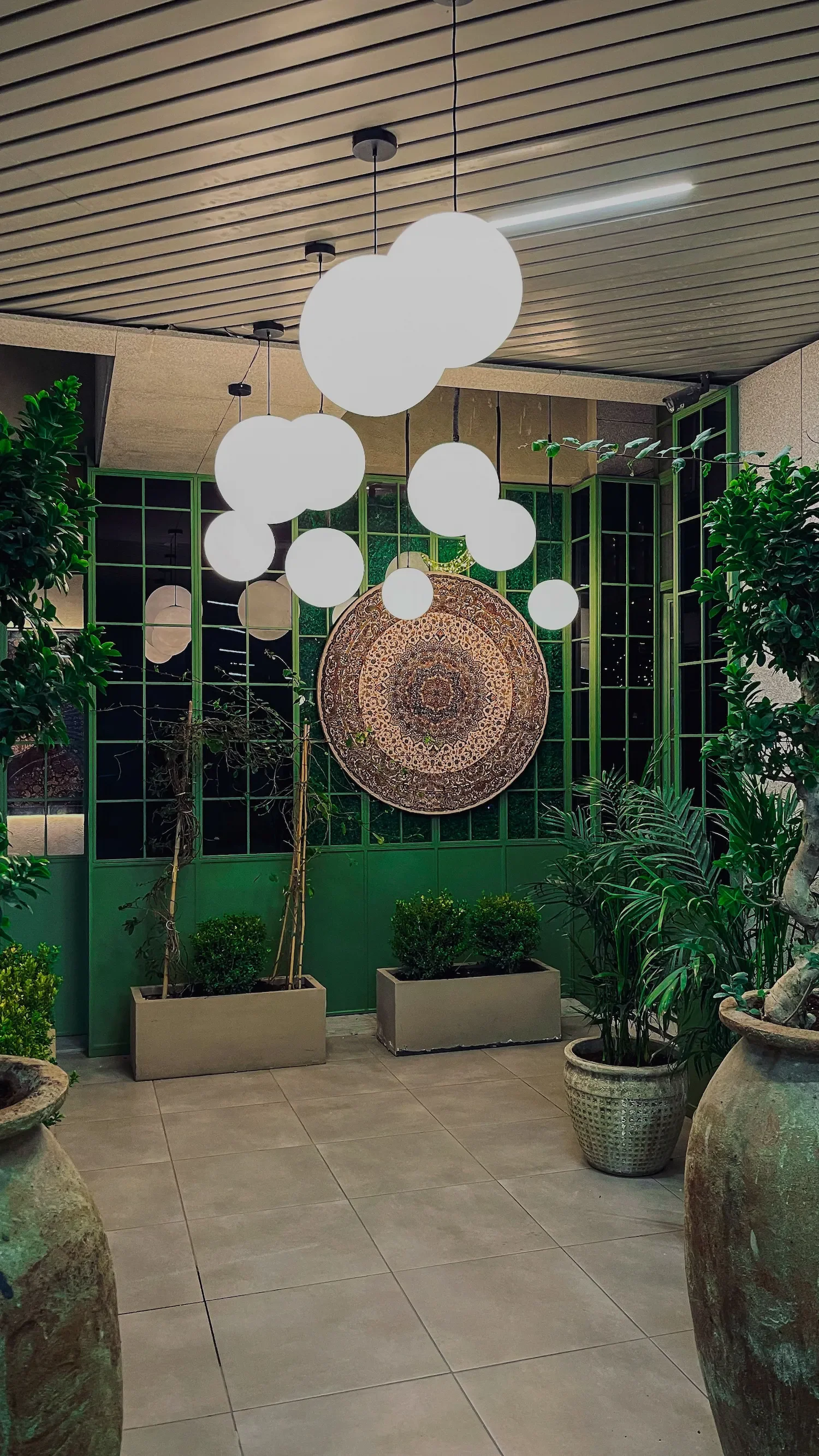 Intérieur avec plantes en pot, un tapis rond et un plafond en bois avec des lumières suspendues.