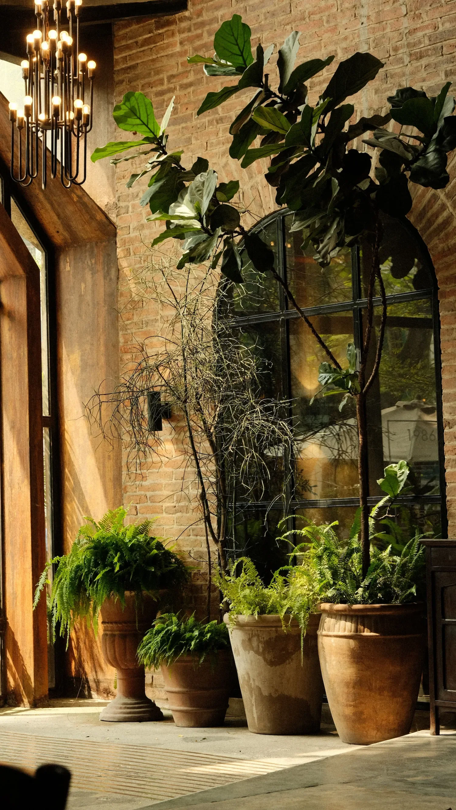 Vases avec des plantes vertes près d'une fenêtre en brique dans un intérieur