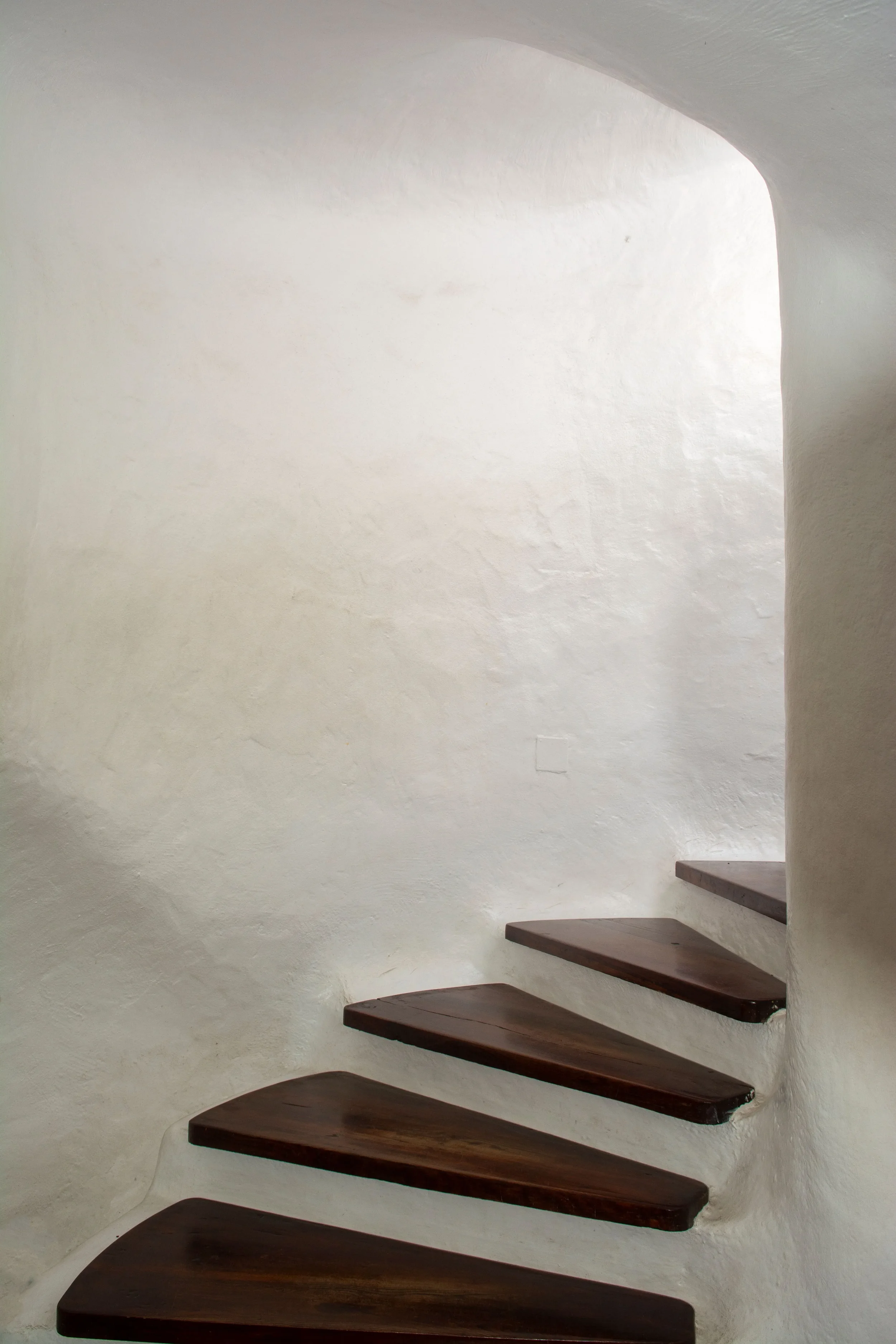 Contraste avec une montée d'escalier d'un blanc pur et des marches d'escalier en bois foncé pour réchauffer et dynamiser l'espace.