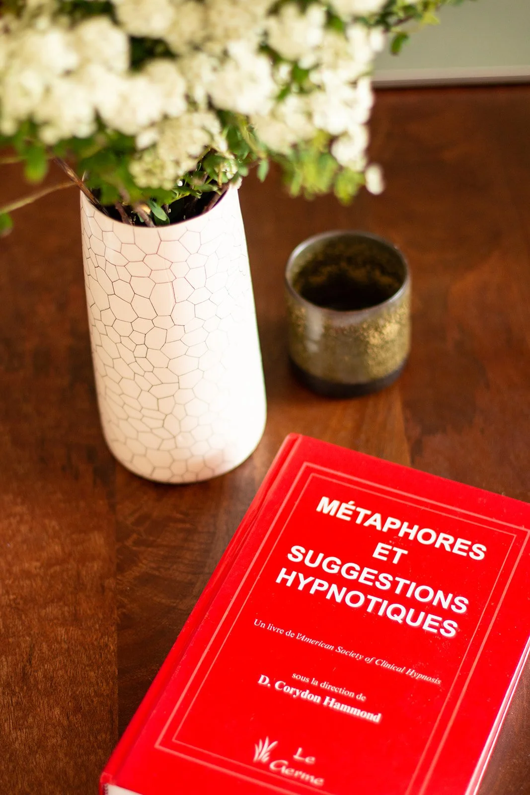 Une vase blanche avec un motif hexagonal contenant des fleurs blanches, un livre rouge intitulé 'Métaphores et Suggestions Hypnotiques', une petite tasse ou pot, et une table en bois.