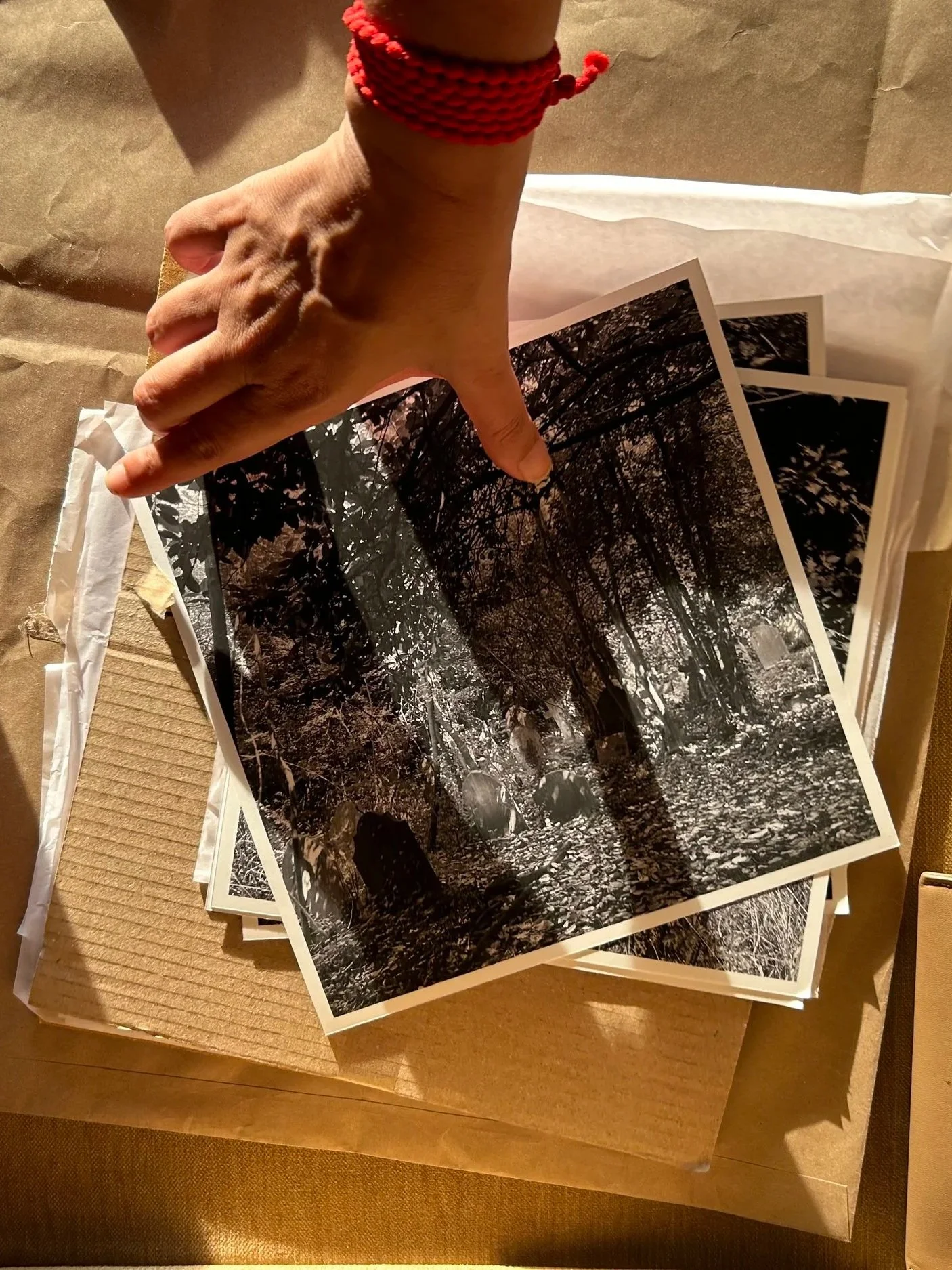 Reimagining the Past