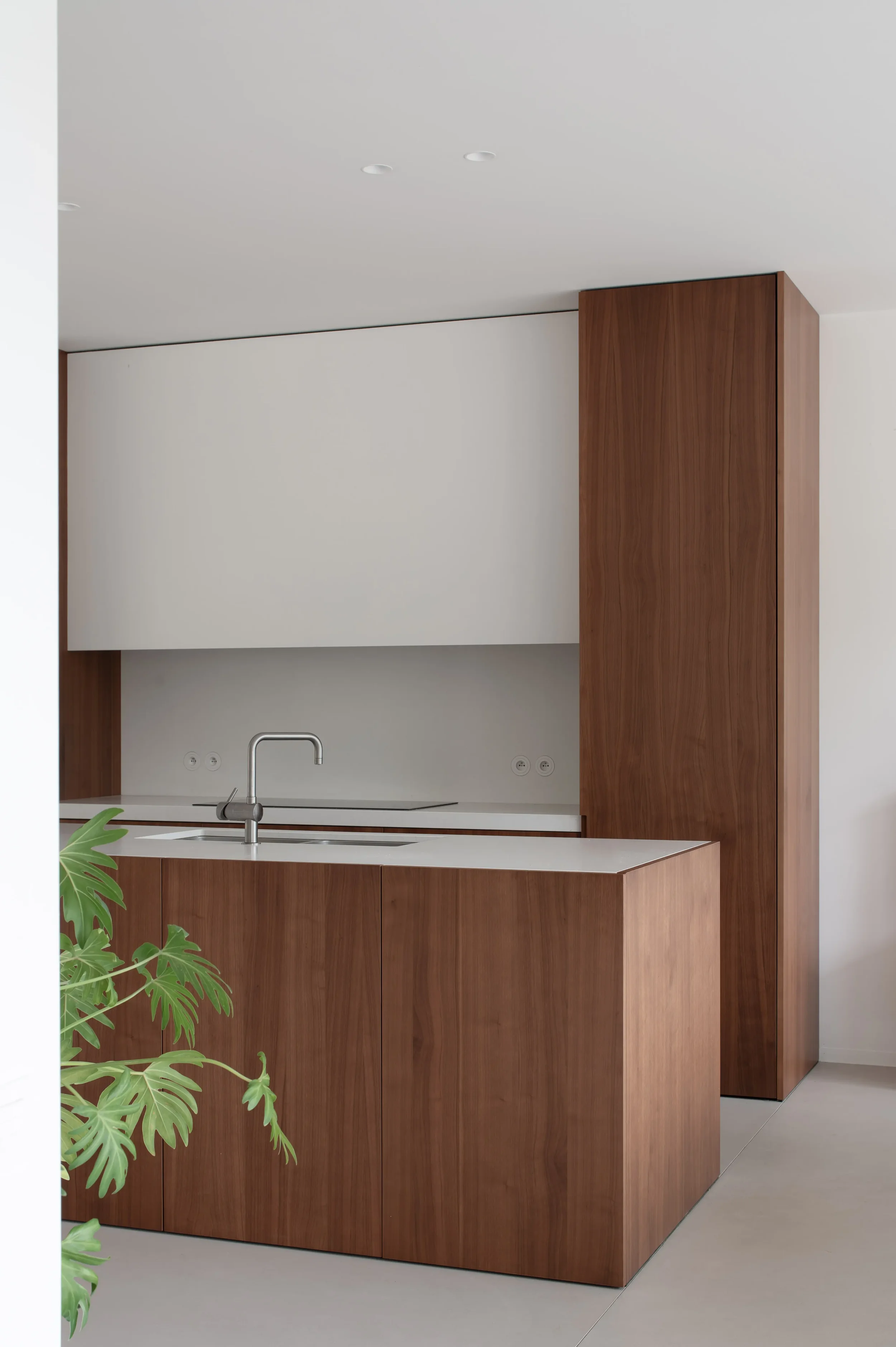 Modern kitchen with a wooden cabinet and white upper cabinets, a sink with a faucet, and a potted plant with green leaves in the foreground.