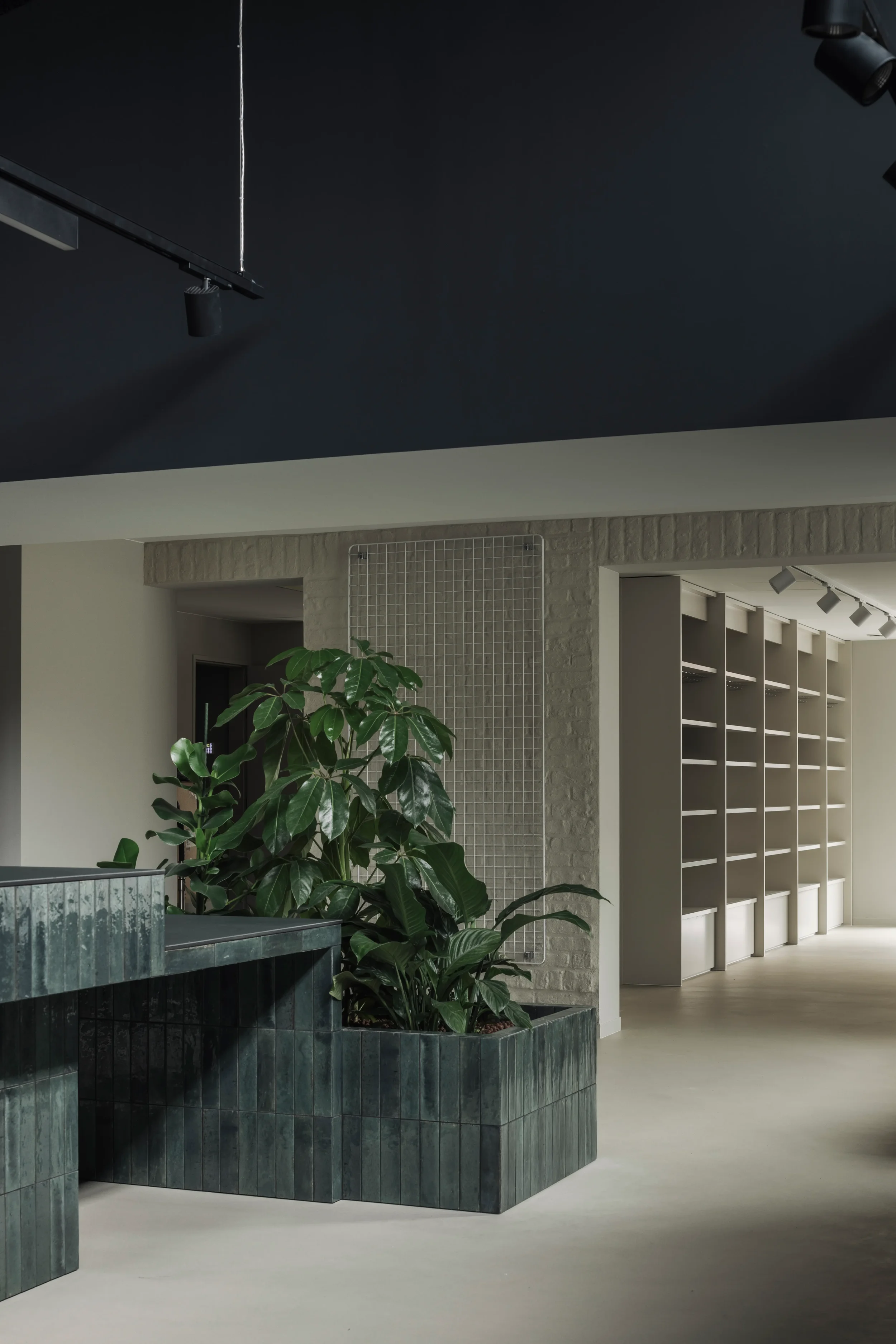 Apotheek Storme te Melsen - balie met overlegzone en plantenbak in functie van privacy