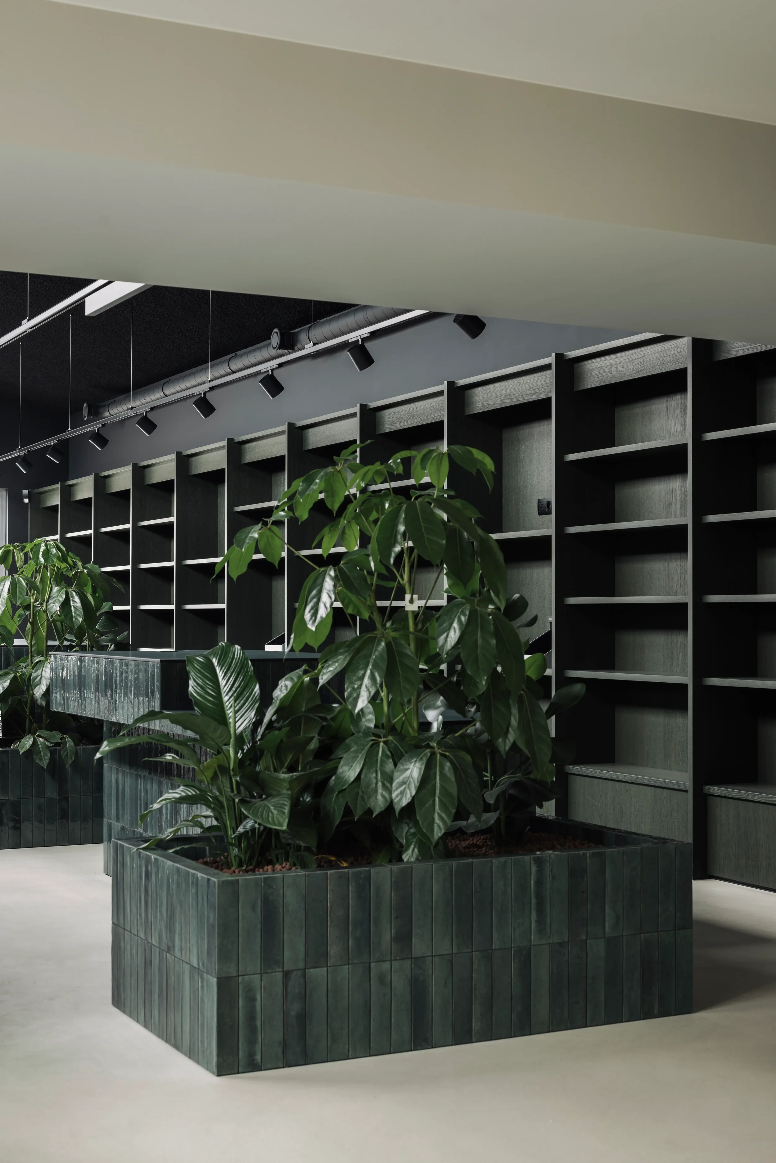 hedendaagse apotheek met groengetinte eikfineer en betegelde balies - plantenbak