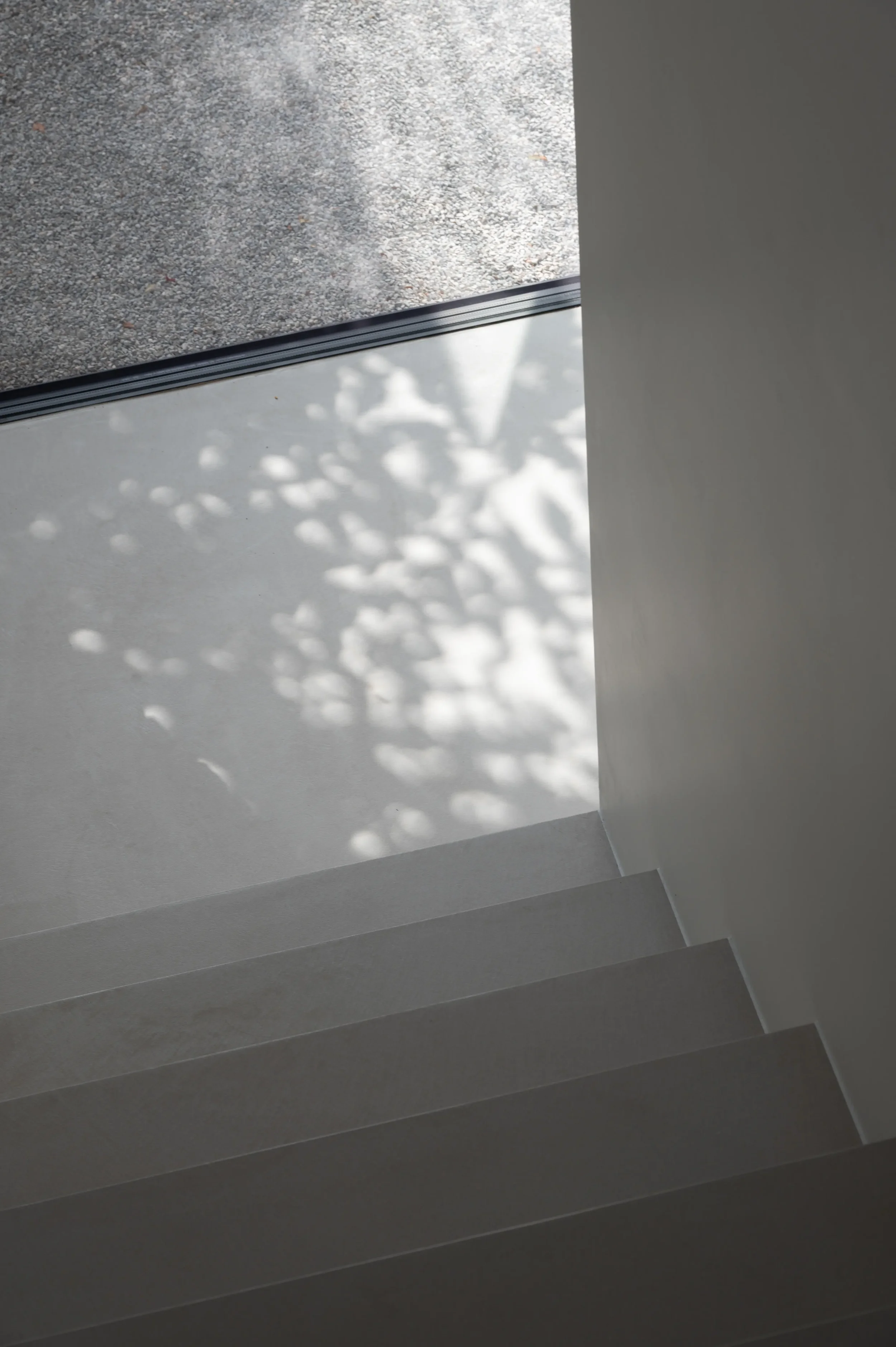 A view from the top of a staircase looking through a glass door, with shadows of plants cast on the wall and floor, and outdoor ground visible through the door.