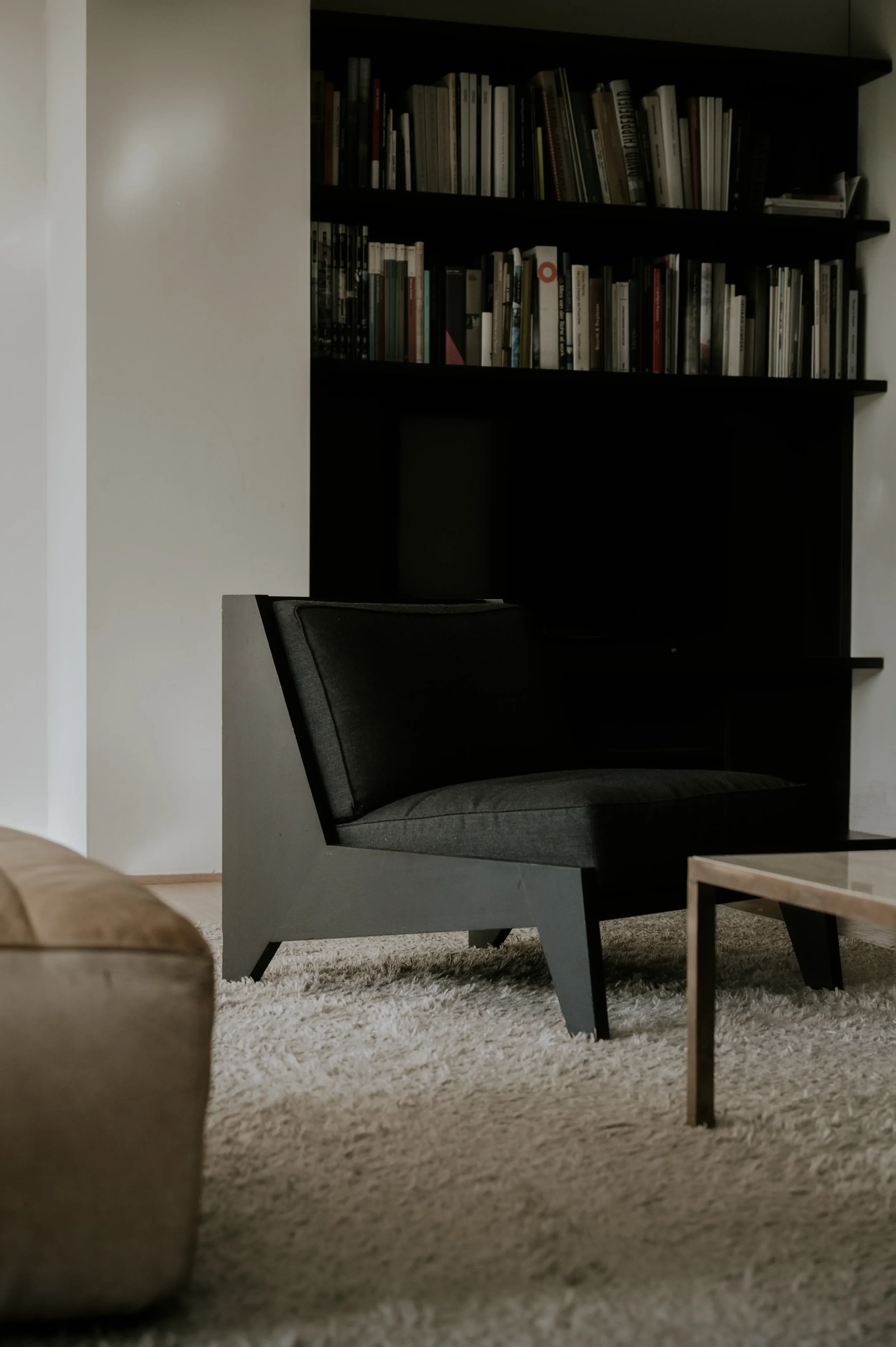 Verbouwing woning Sint-Amandsberg — bibliotheek en tv-kast — architect Bart Van Wetter