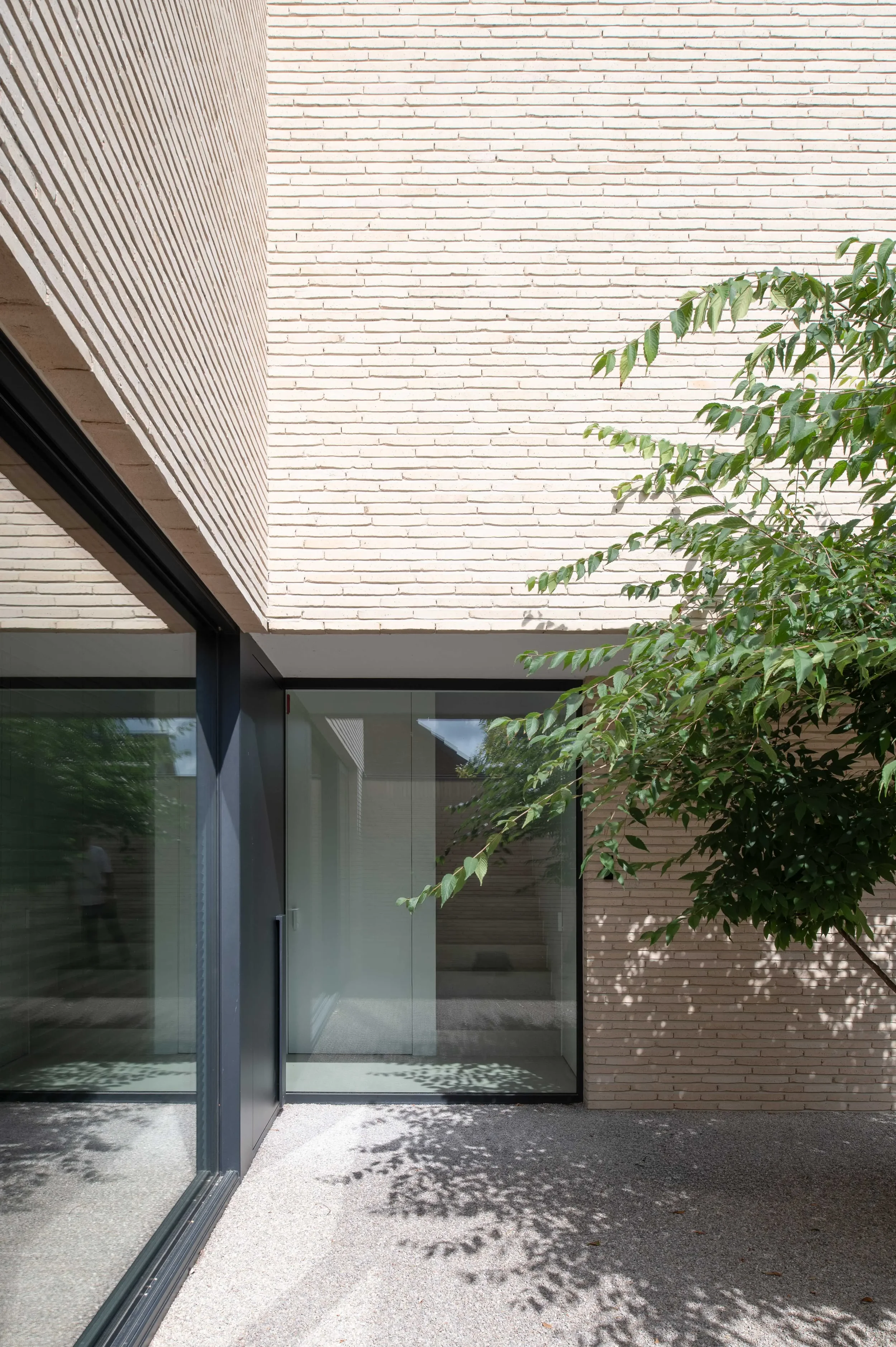 Modern building with white brick exterior, floor-to-ceiling glass doors, and a tree casting shadows on the ground.