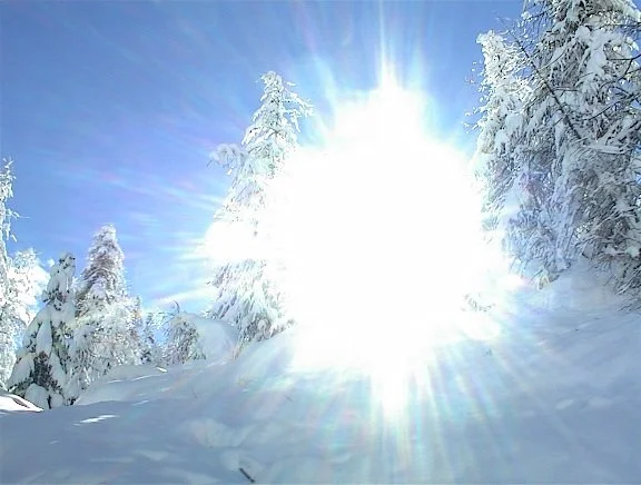 Paesaggio innevato con alberi ricoperti di neve e sole brillante nel cielo azzurro.