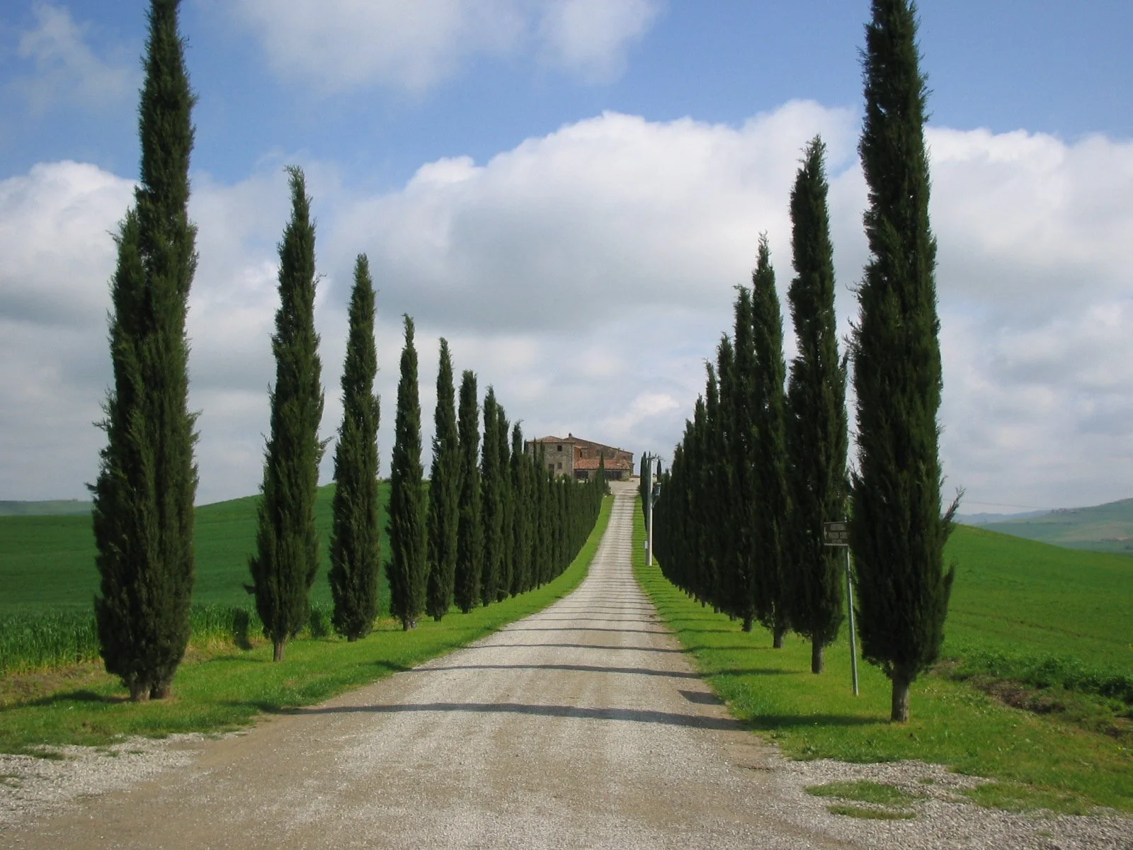Un viale con cipressi che conduce a una casa in alto su una collina, in campagna.