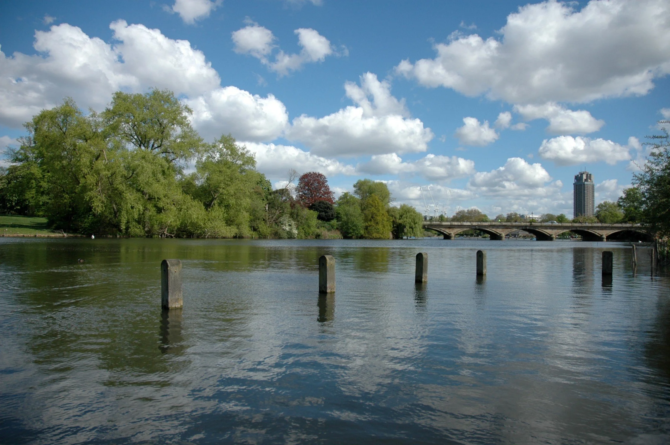 Un fiume con alberi verdi di fronte, un ponte e un grattacielo sullo sfondo, cielo azzurro con nuvole bianche.