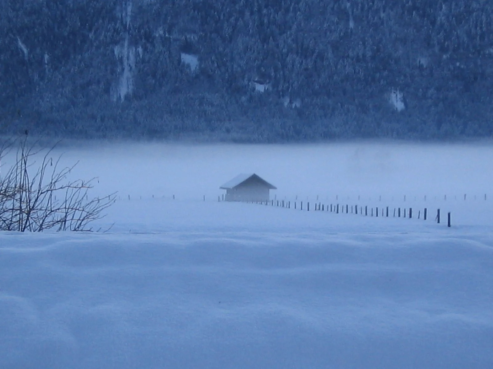 Paesaggio invernale con neve, una piccola casetta e una lunga recinzione, con una foresta sullo sfondo e nebbia leggera.