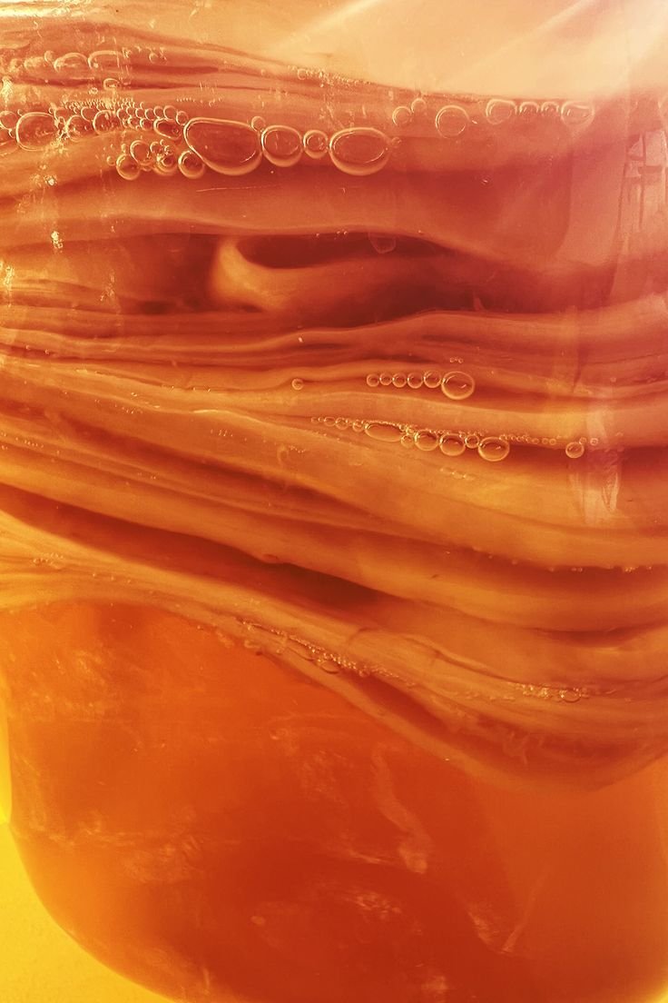Close-up of a glass with a layered Scoby, showing bubbles and swirls inside.