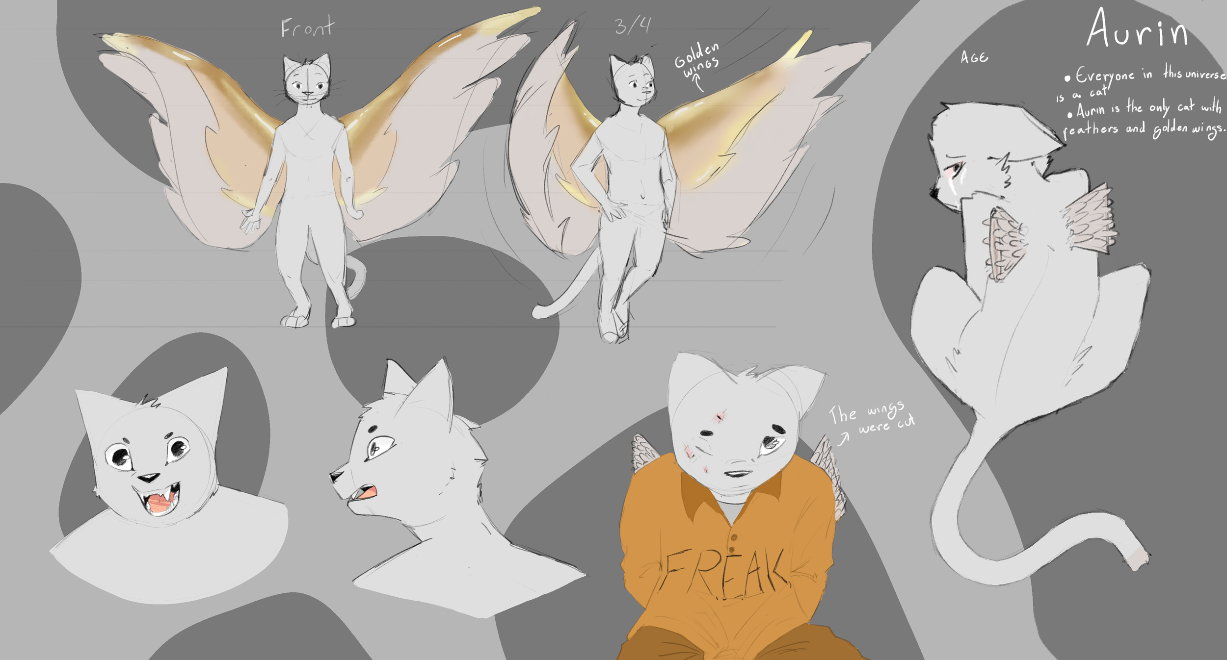 A character design sheet of a feline humanoid named Aurin. The sheet includes multiple sketches: front and side views with golden wings, a character with cut wings, a close-up of a cat face, a young feline with scars and a distressed expression, and a character seated wearing an orange shirt with "FREAK" written on it, crying and looking sad. There are notes about Aurin being the only cat with feathers and golden wings, age, and details about wing cuts.