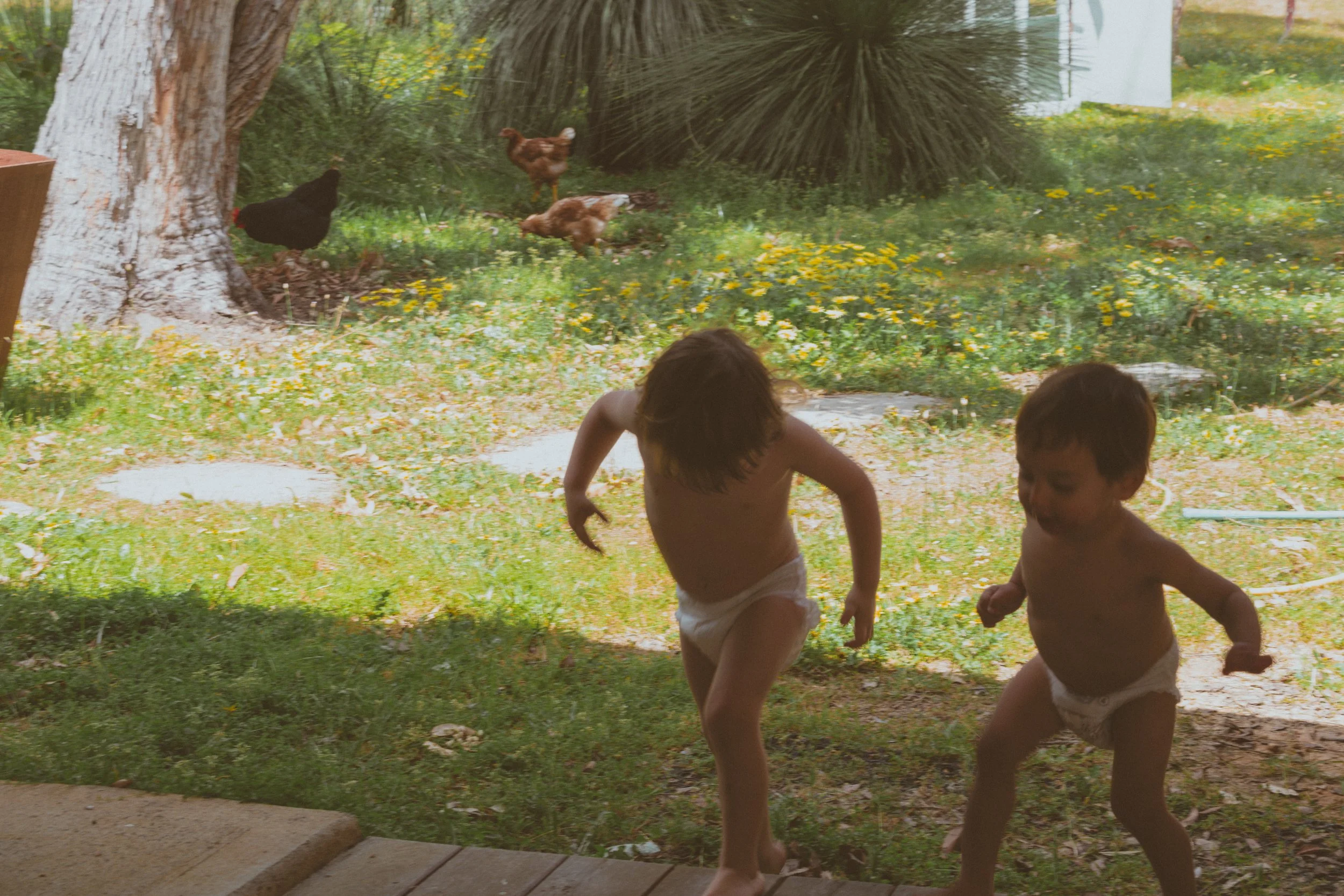 DSC_3151.jpeg