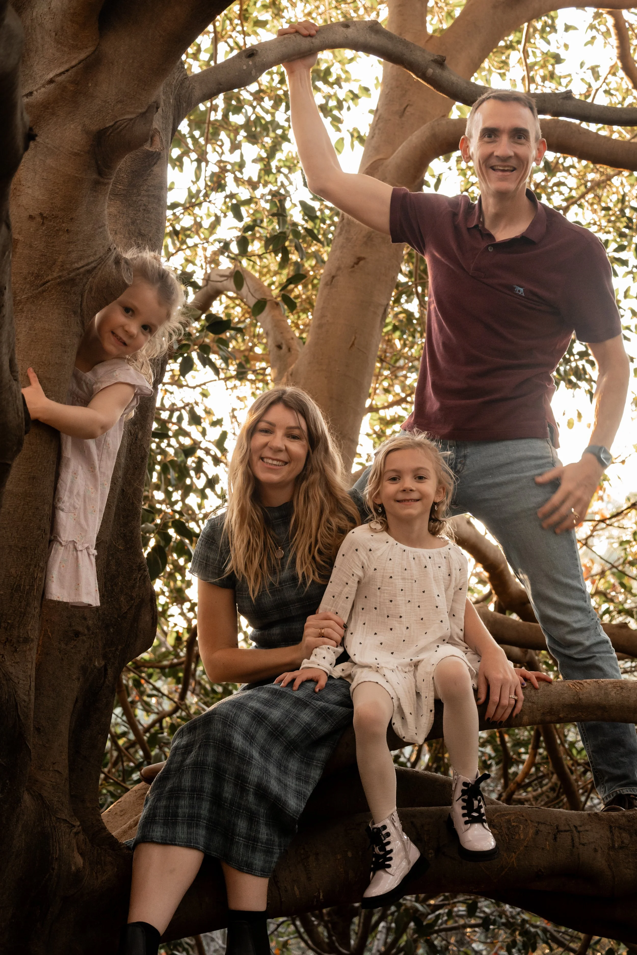 A group of five people, including three children and two adults, are sitting and climbing on a large tree with multiple branches and green leaves, enjoying an outdoor setting with sunlight filtering through the foliage.