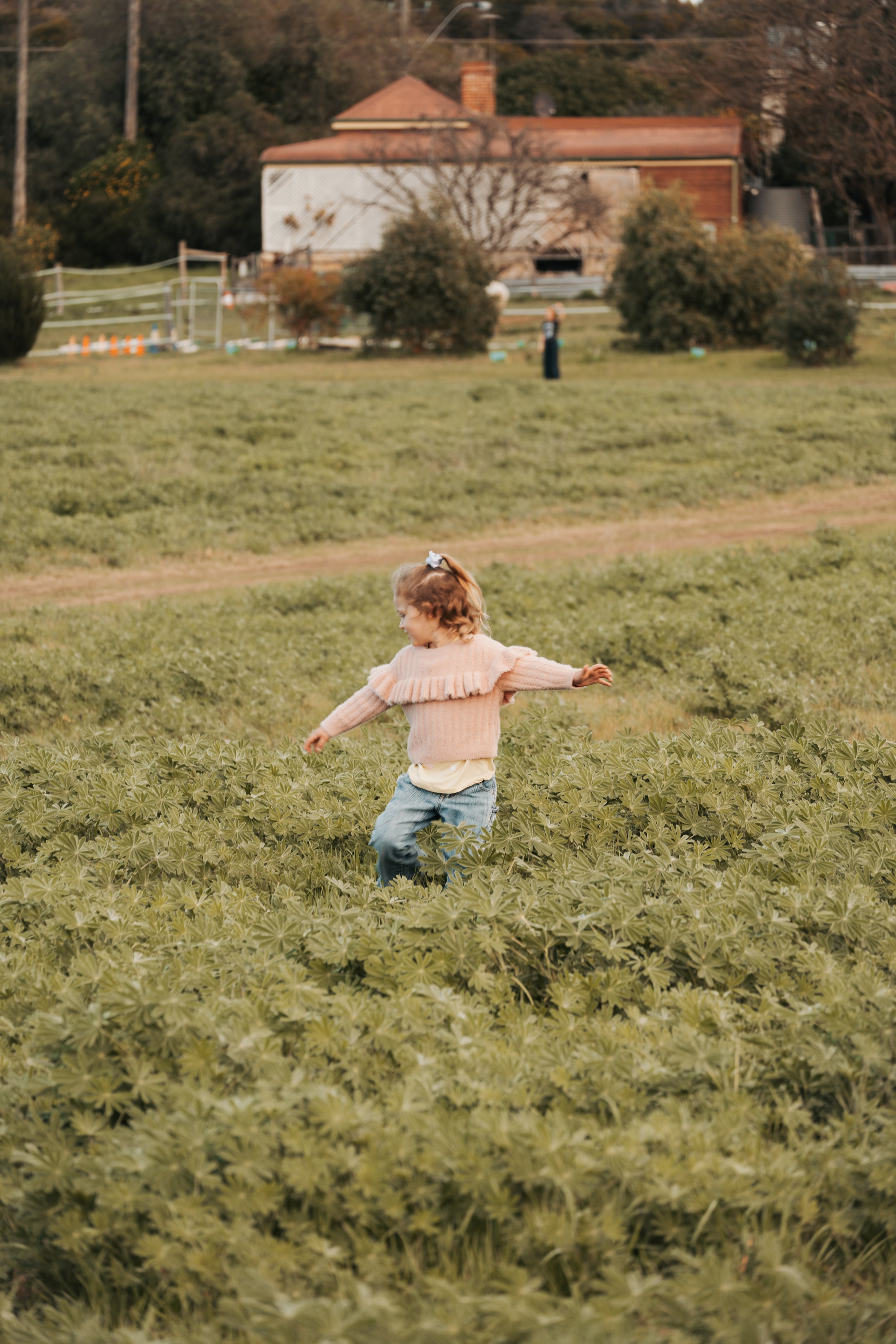 A young girl in a pink sweater and blue jeans running through a green field of plants. In the background, there are trees, bushes, a wooden house with a chimney, and a person standing near the bushes.
