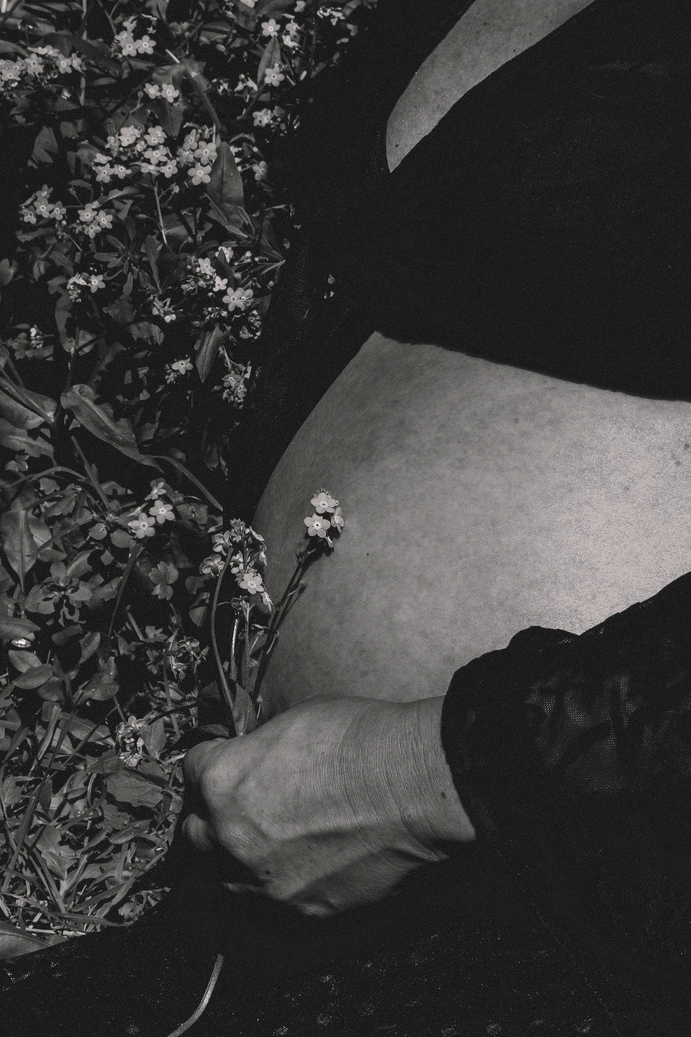 DSC_3053.jpeg