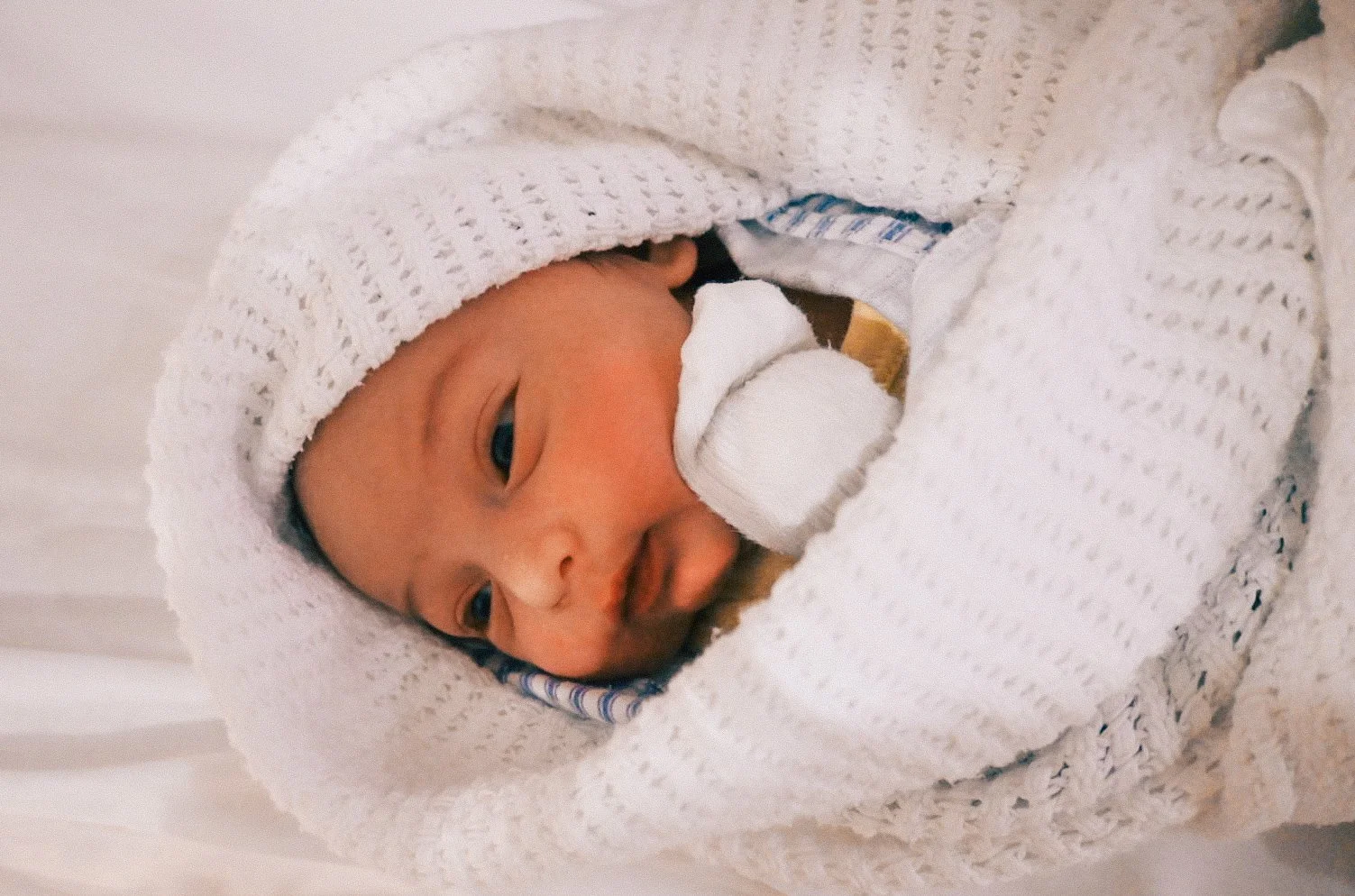 Baby Archie