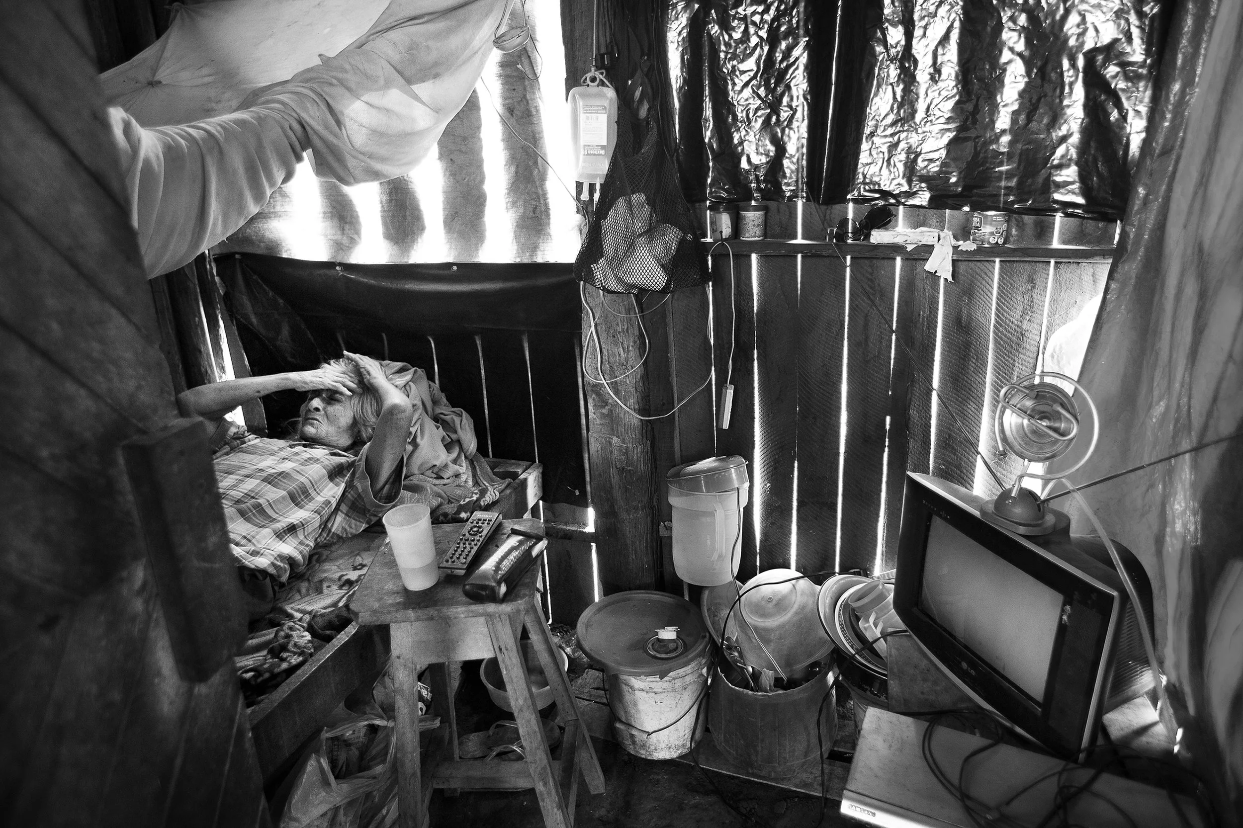 Dengue3.jpg