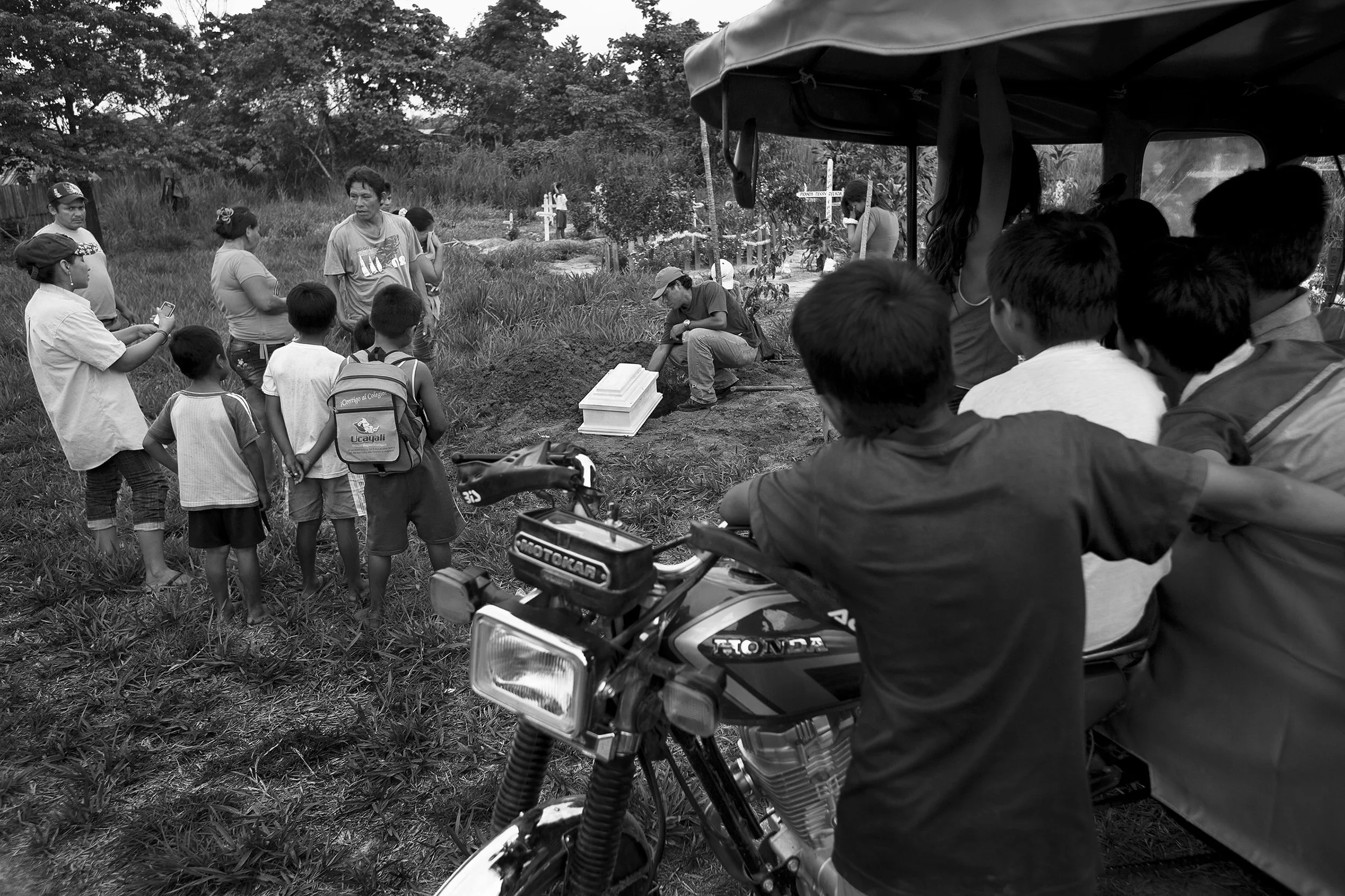 Dengue8.jpg