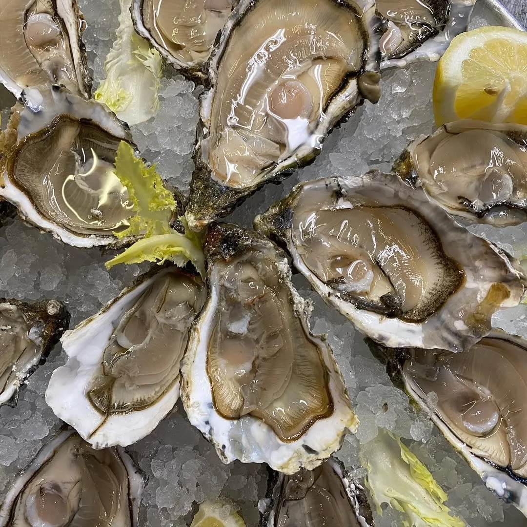 Coquille di ostriche aperte su ghiaccio con una fetta di limone