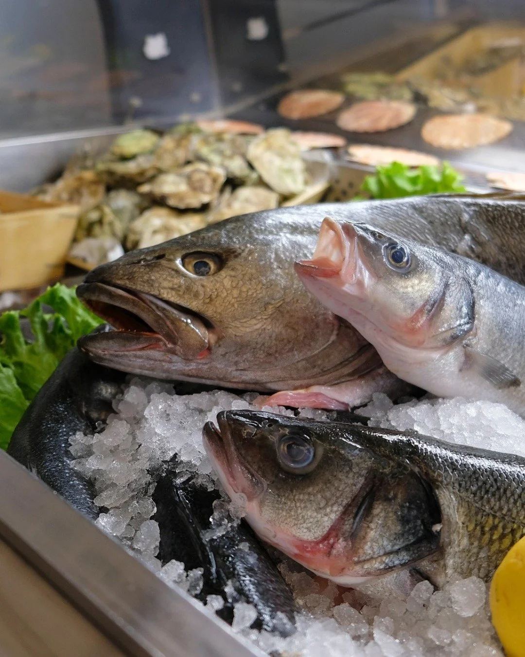 Pesci freschi sistemati su ghiaccio in un banco del mercato, con alghe e altri frutti di mare sullo sfondo.