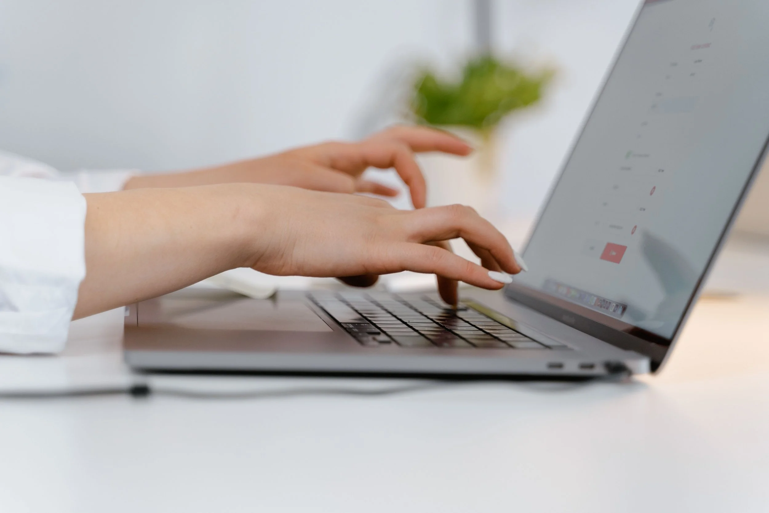Person typing on a laptop with a white background and a small potted plant in the background.