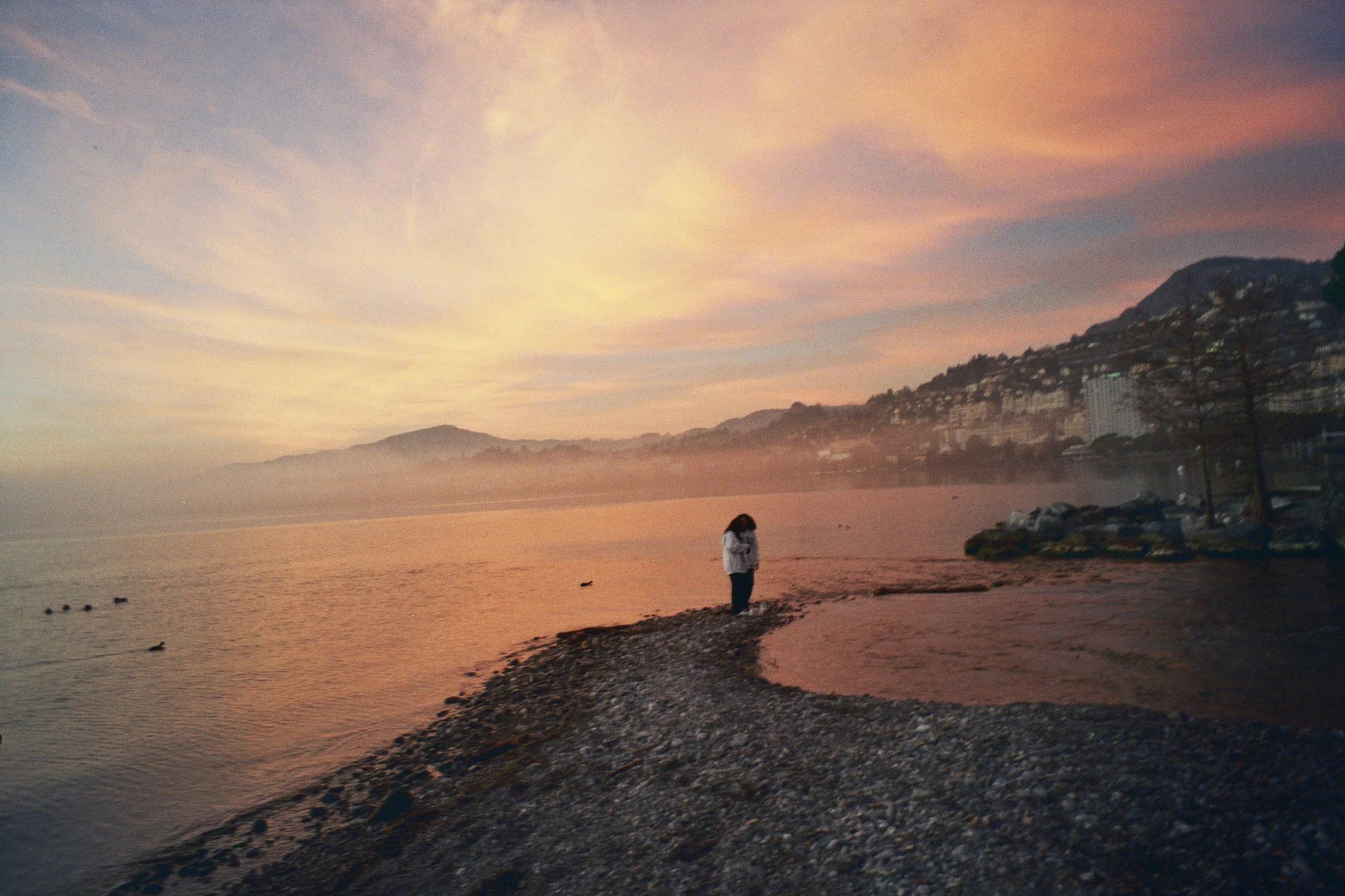_8A_00046.jpg