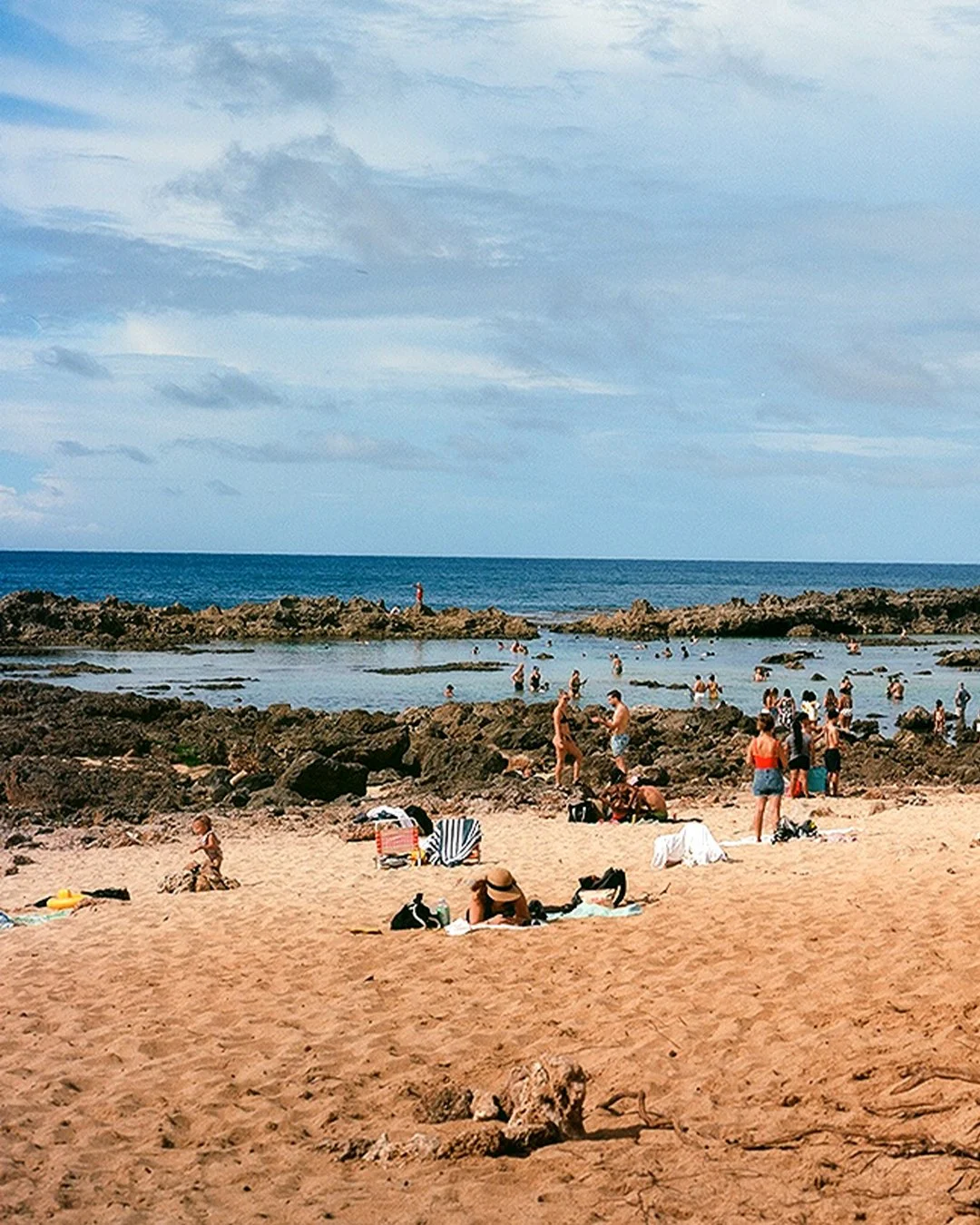 sharks cove 1.JPG