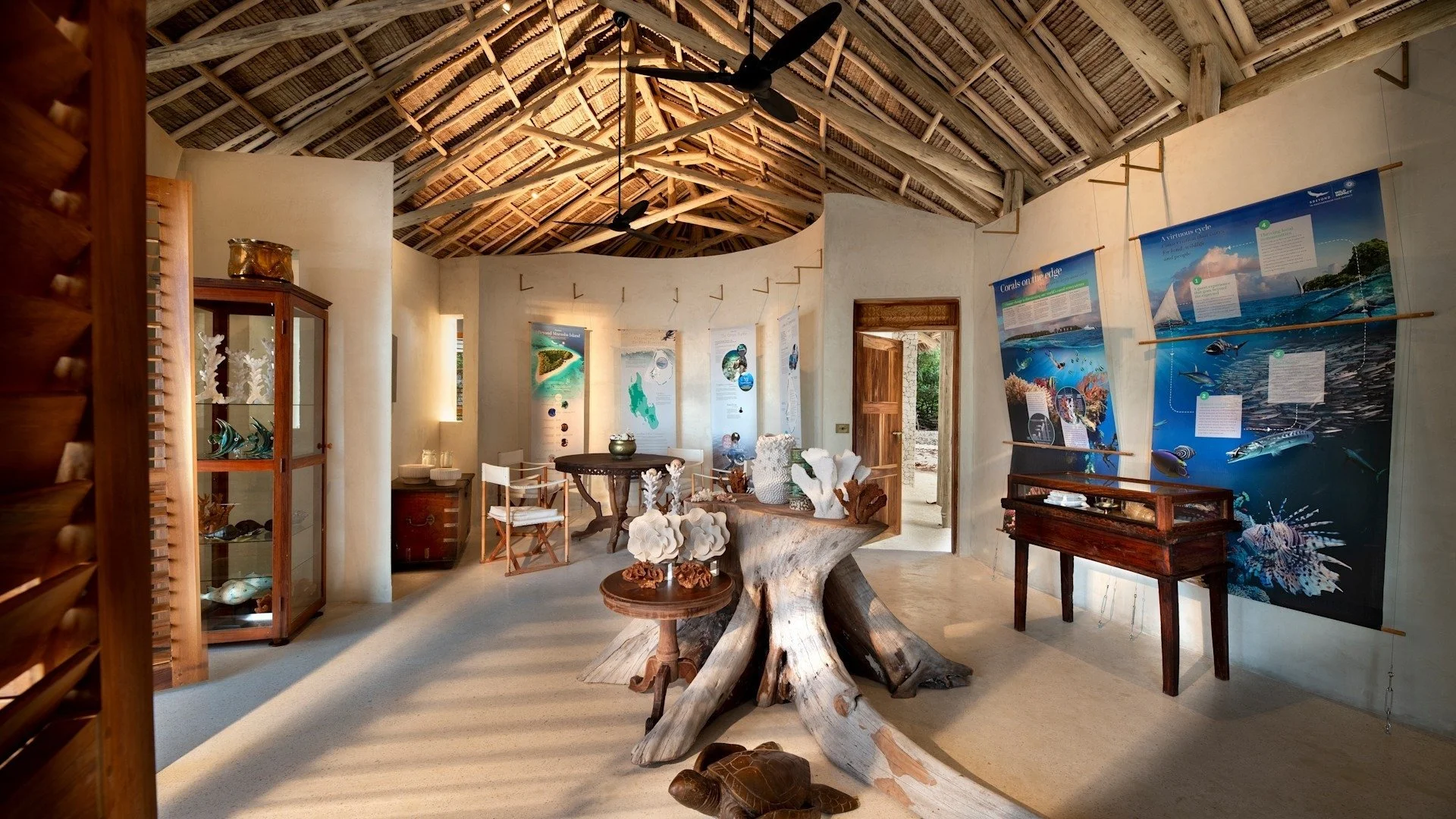 imgi_8_Zanzibar-Mnemba-Island-Discovery-Centre-Website-1920x1080-fill-gravityauto-Q_AutoBest.jpg