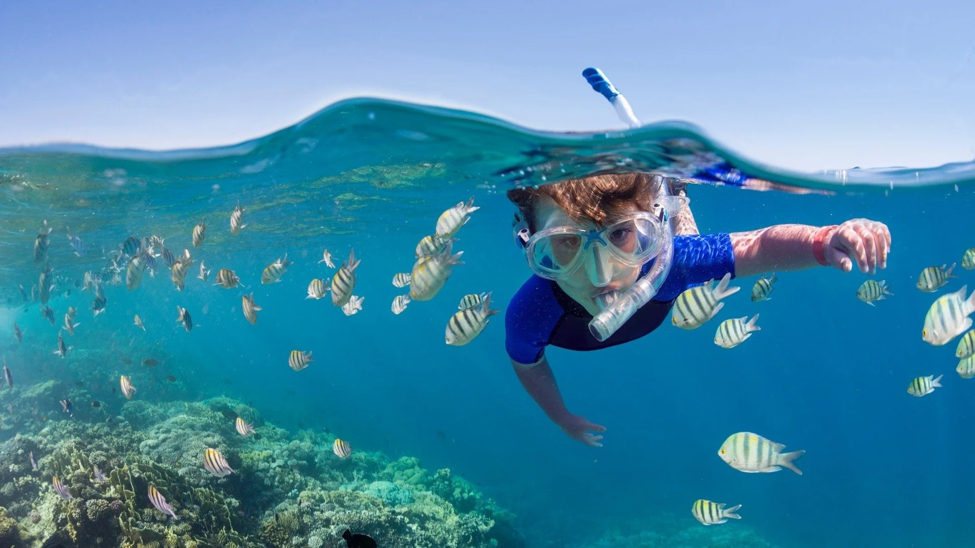 imgi_18_Mnemba-Child-snorkeling-reef-502642217-Website.jpg