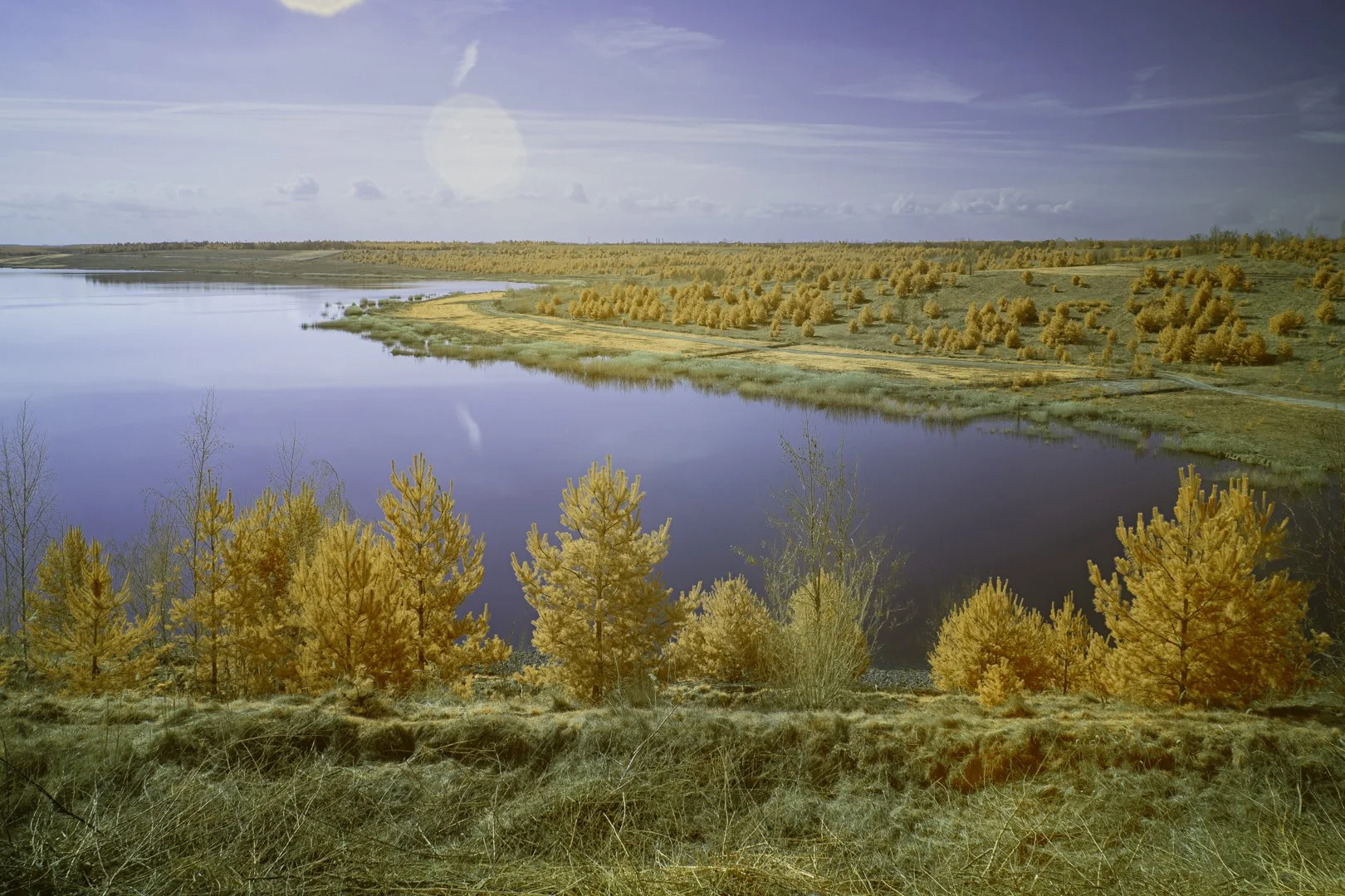Tagebau Lake-regeneration.jpg